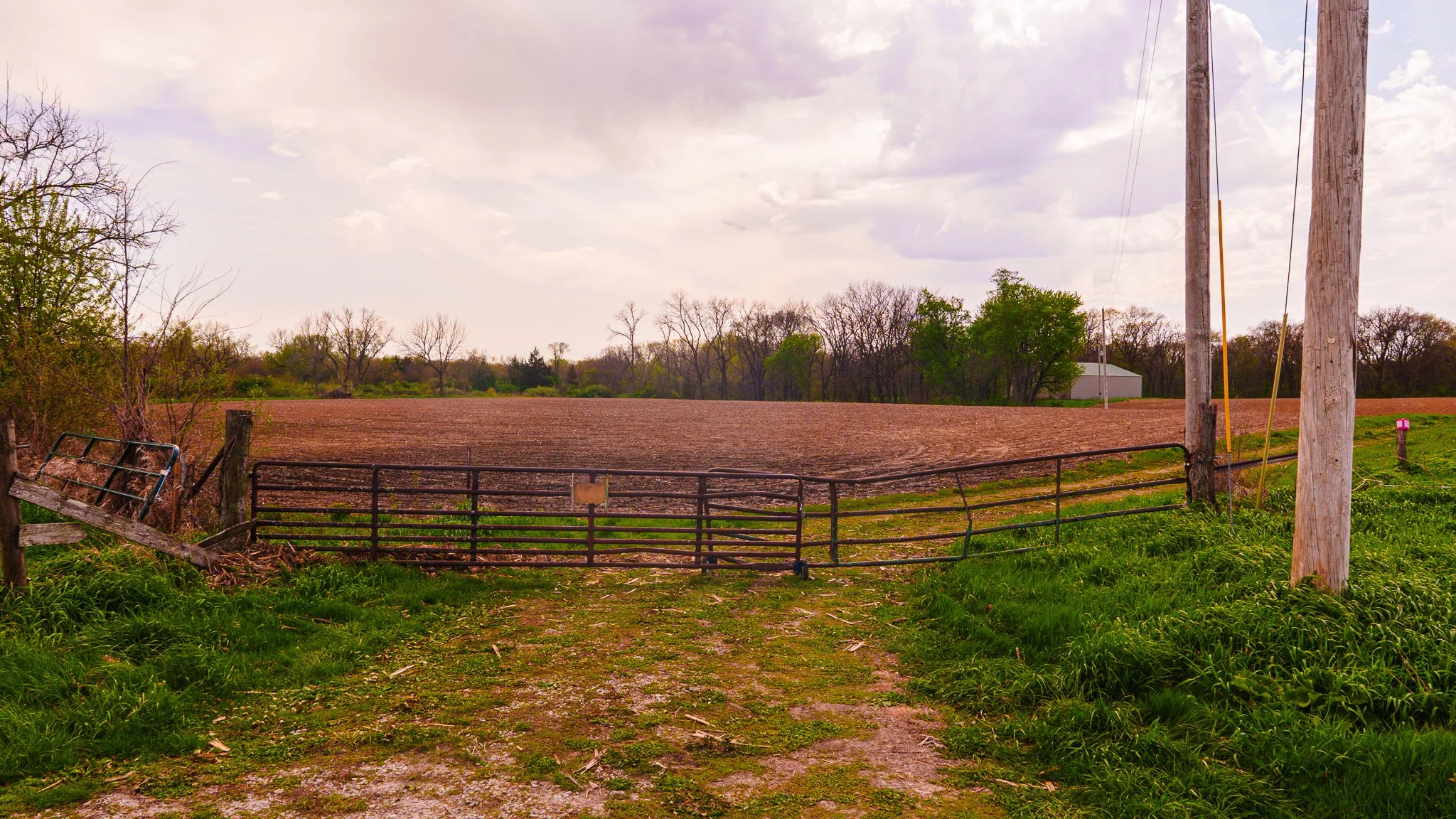 DSC04373-2.jpg