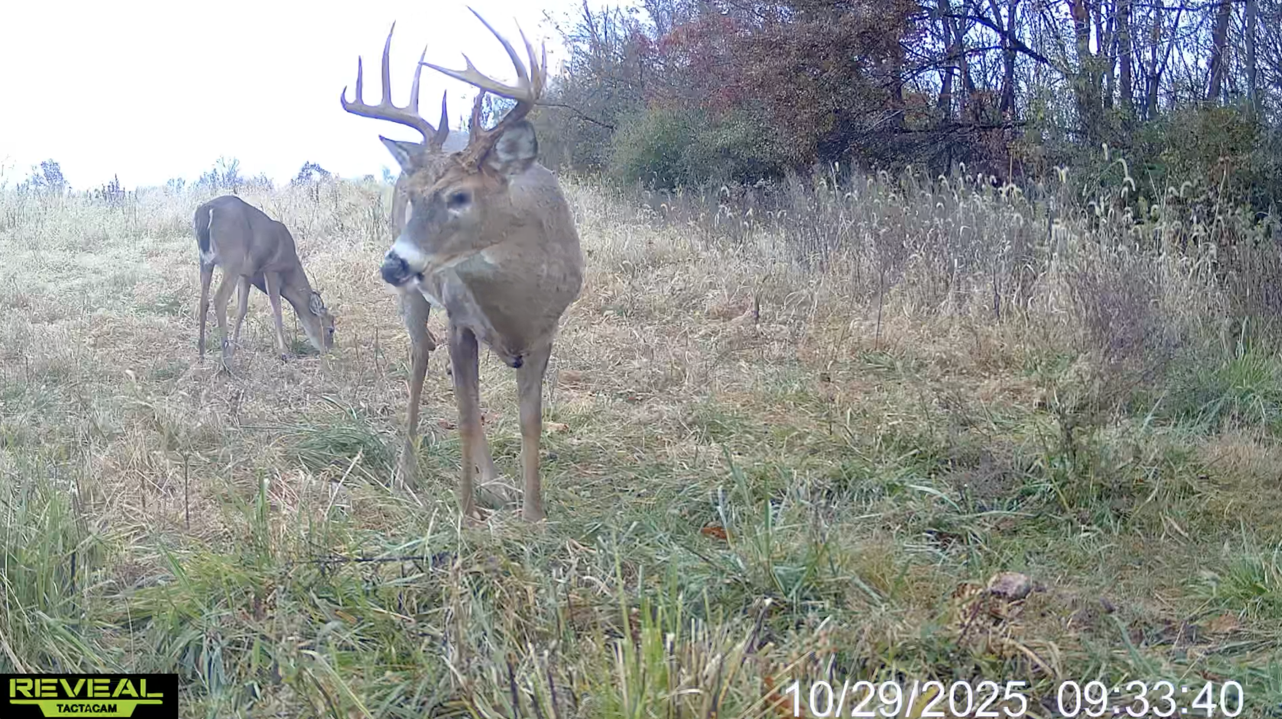 Screenshot 2026-03-31 at 10.48.35 AM.png