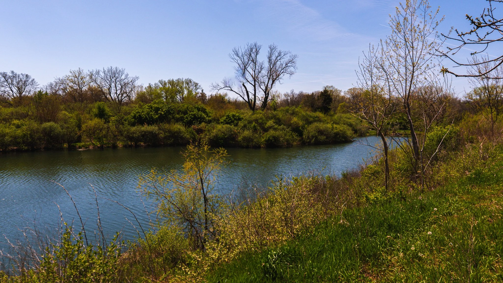 DSC04333.jpg