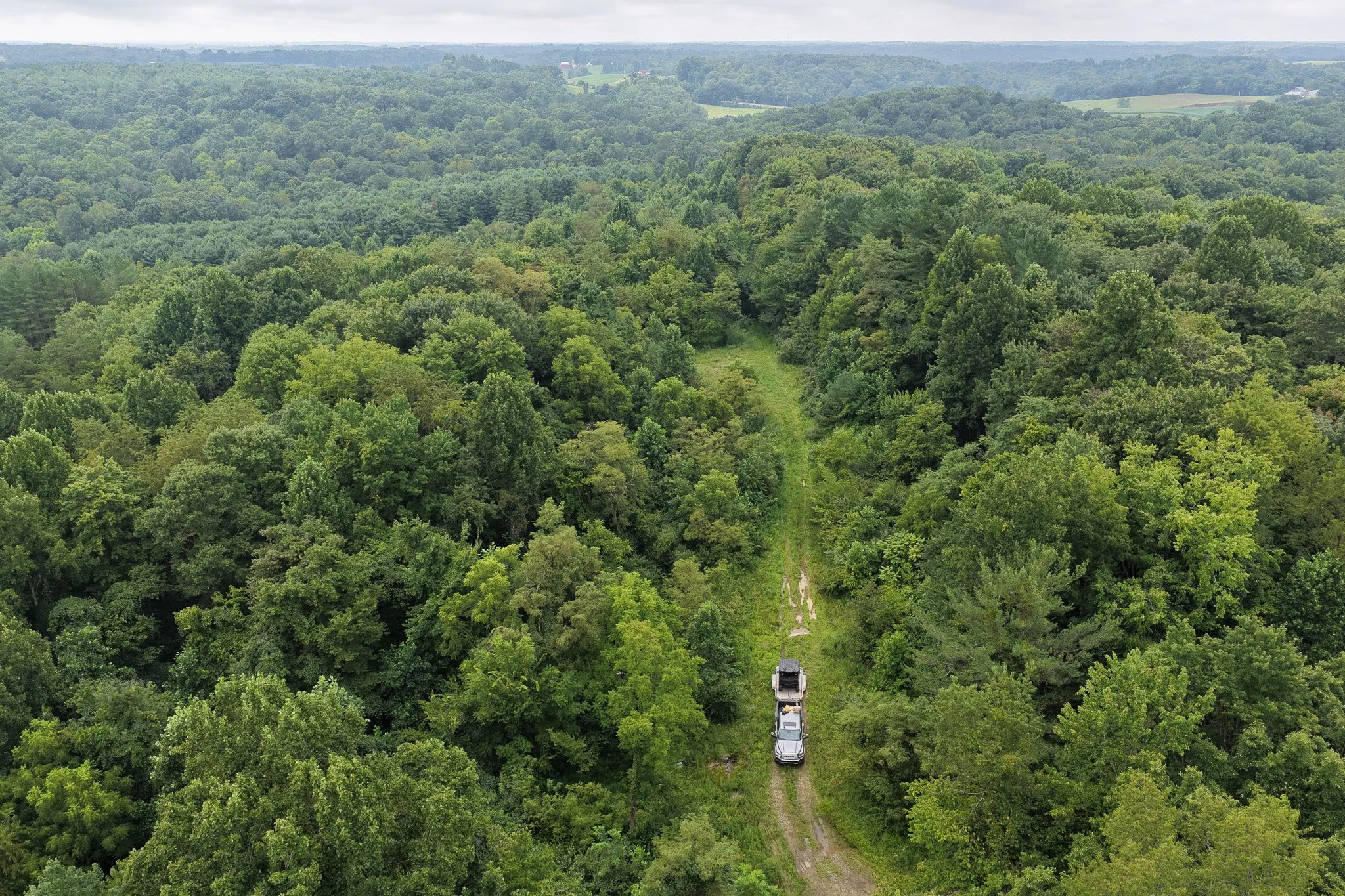 DJI_20260806103501_0020_D.jpg