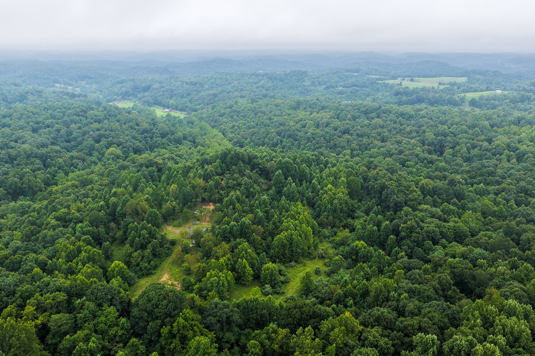 DJI_20260728123918_0037_D.jpg