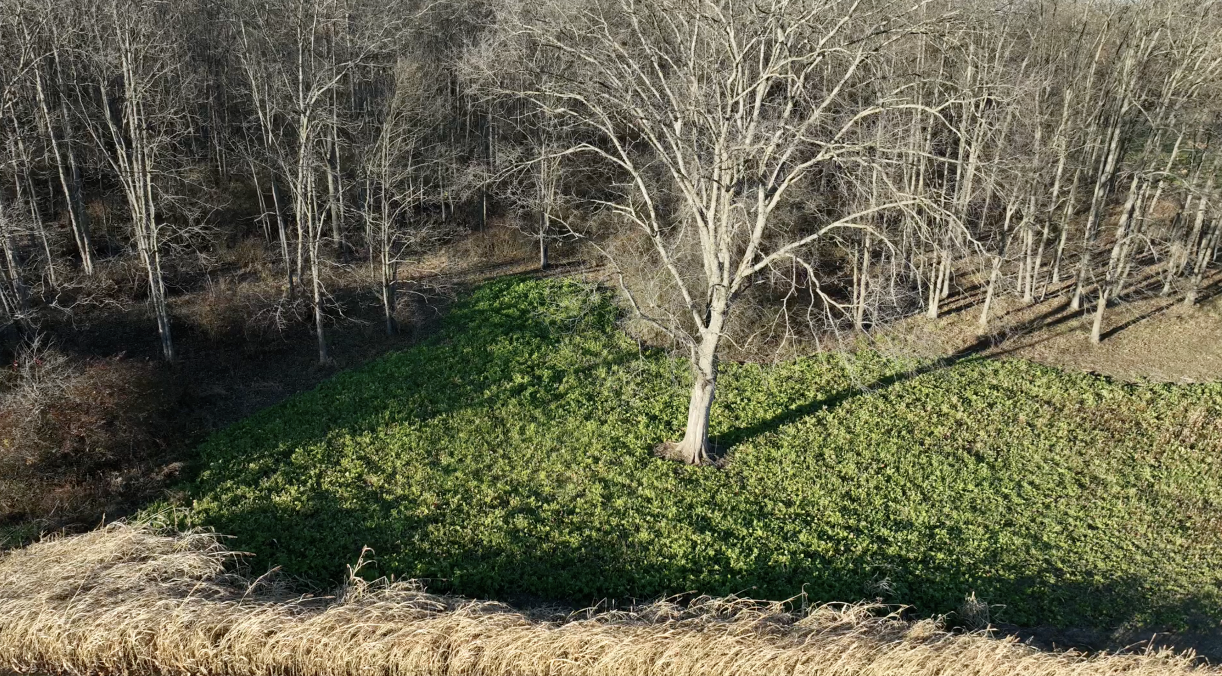 Screenshot 2025-11-18 at 9.46.05 PM.png