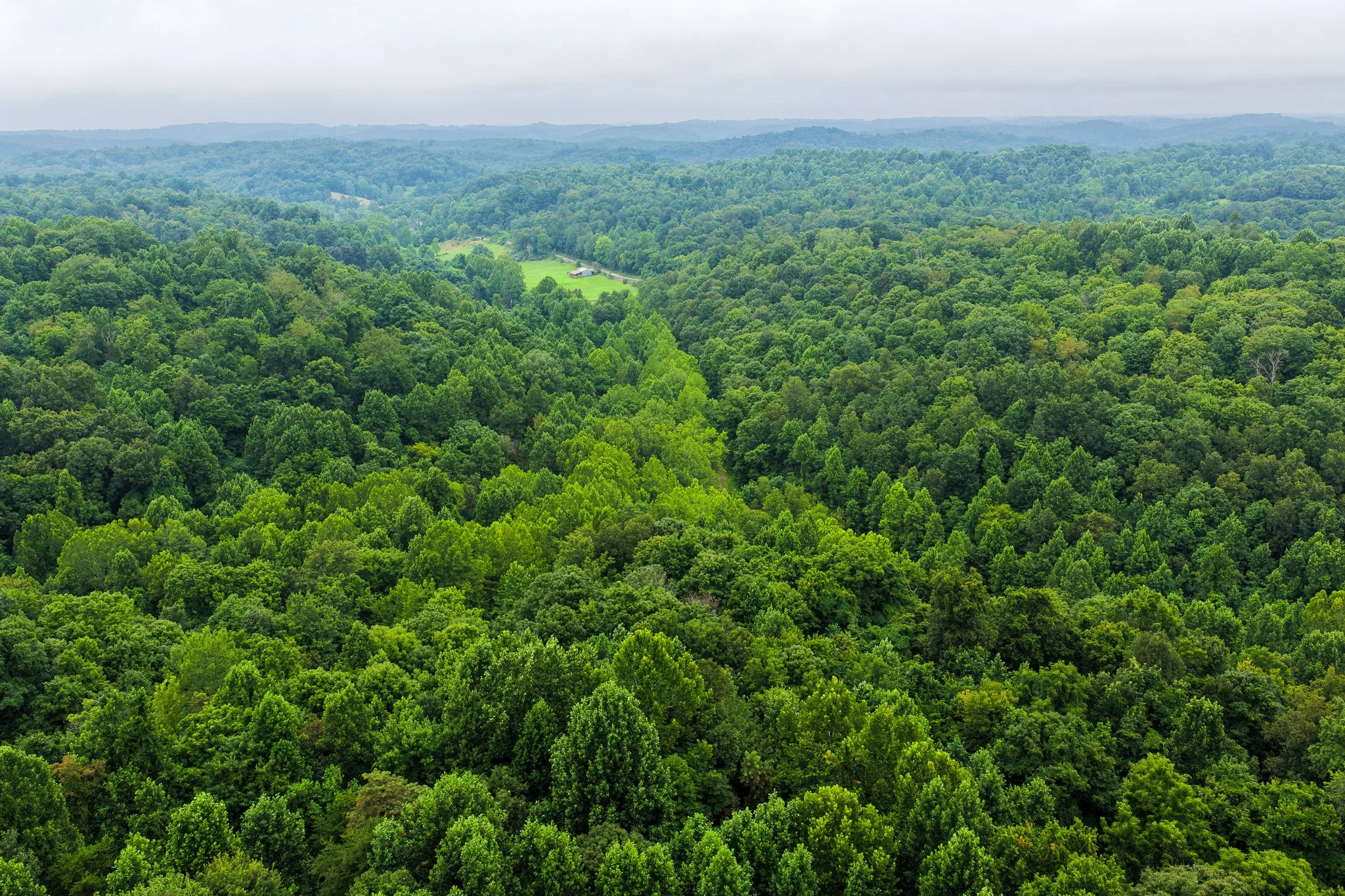 DJI_20260728123948_0039_D.jpg