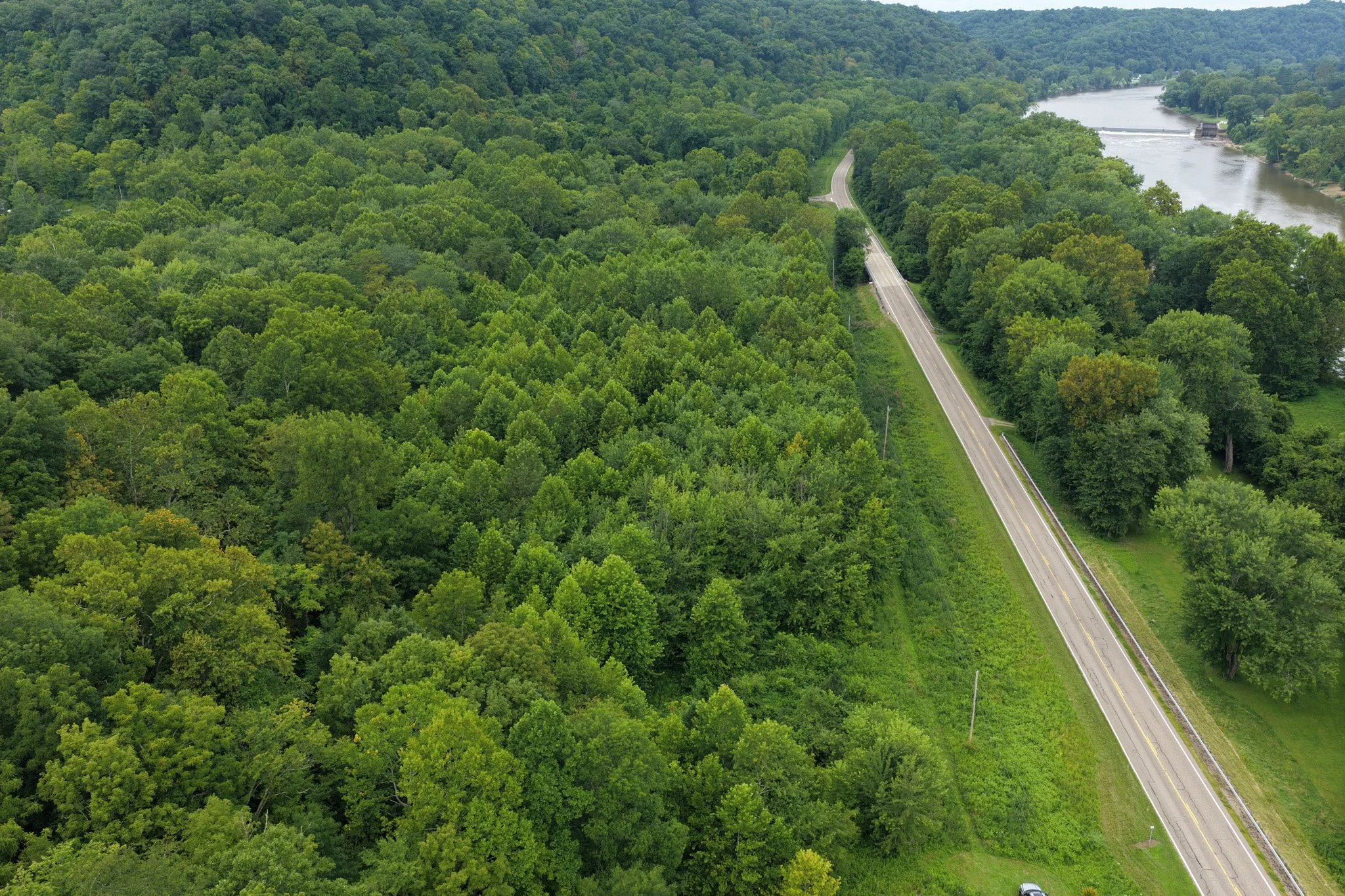 DJI_20260729114408_0024_D.jpg