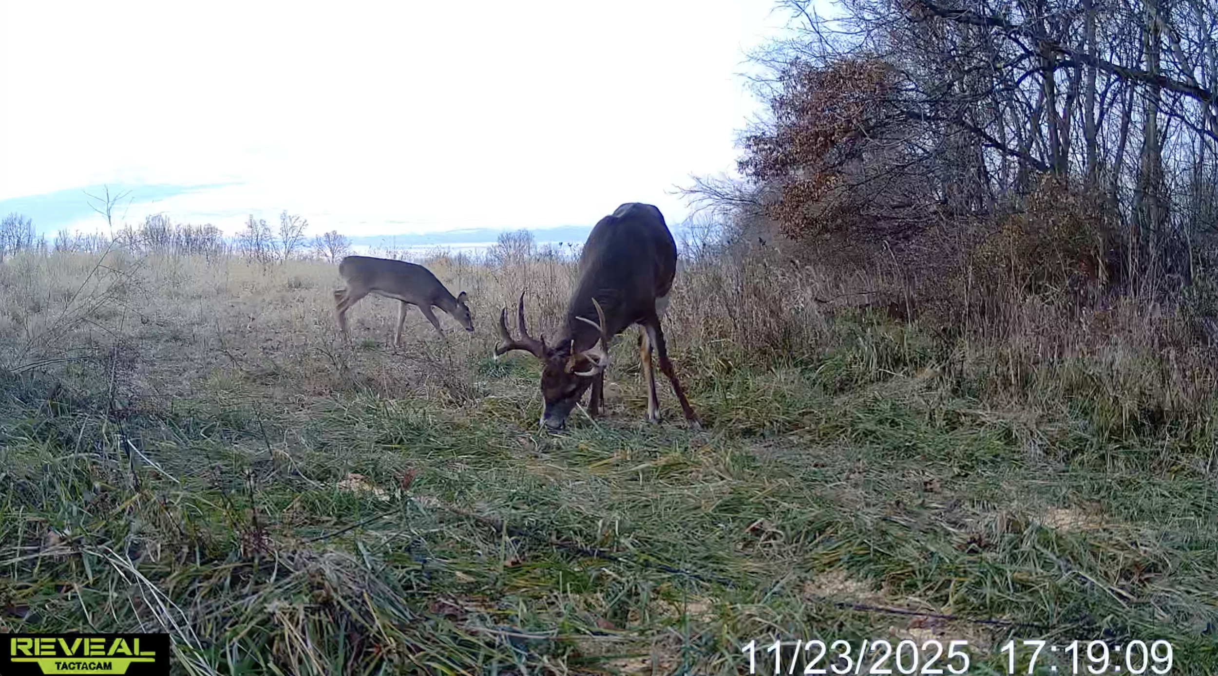 Screenshot 2026-03-31 at 10.48.11 AM.png