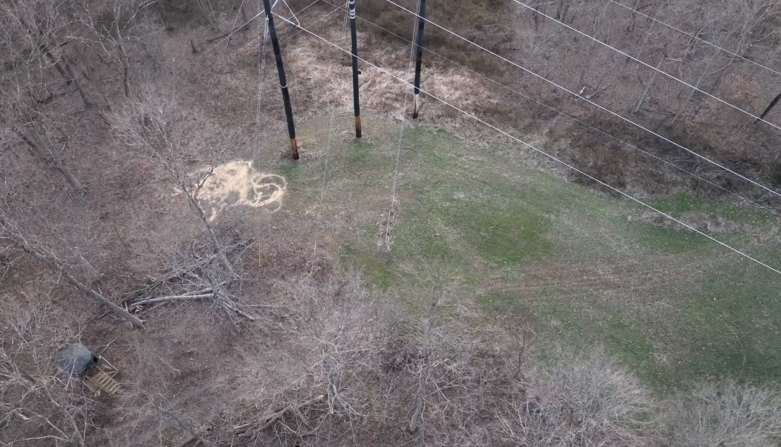 Screenshot 2026-01-25 at 2.47.44 PM.png