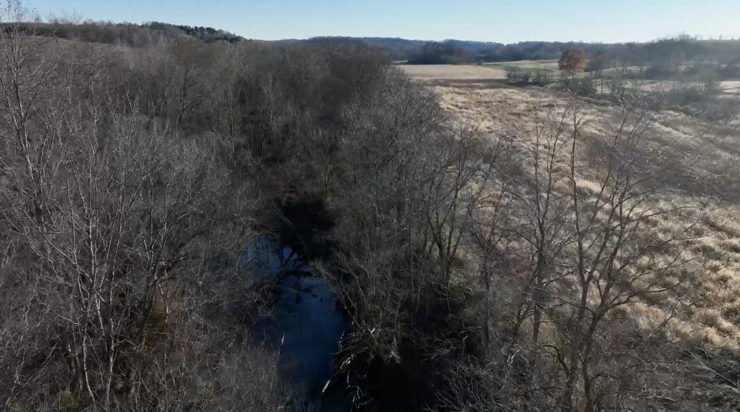 Screenshot 2025-11-18 at 9.42.20 PM.png