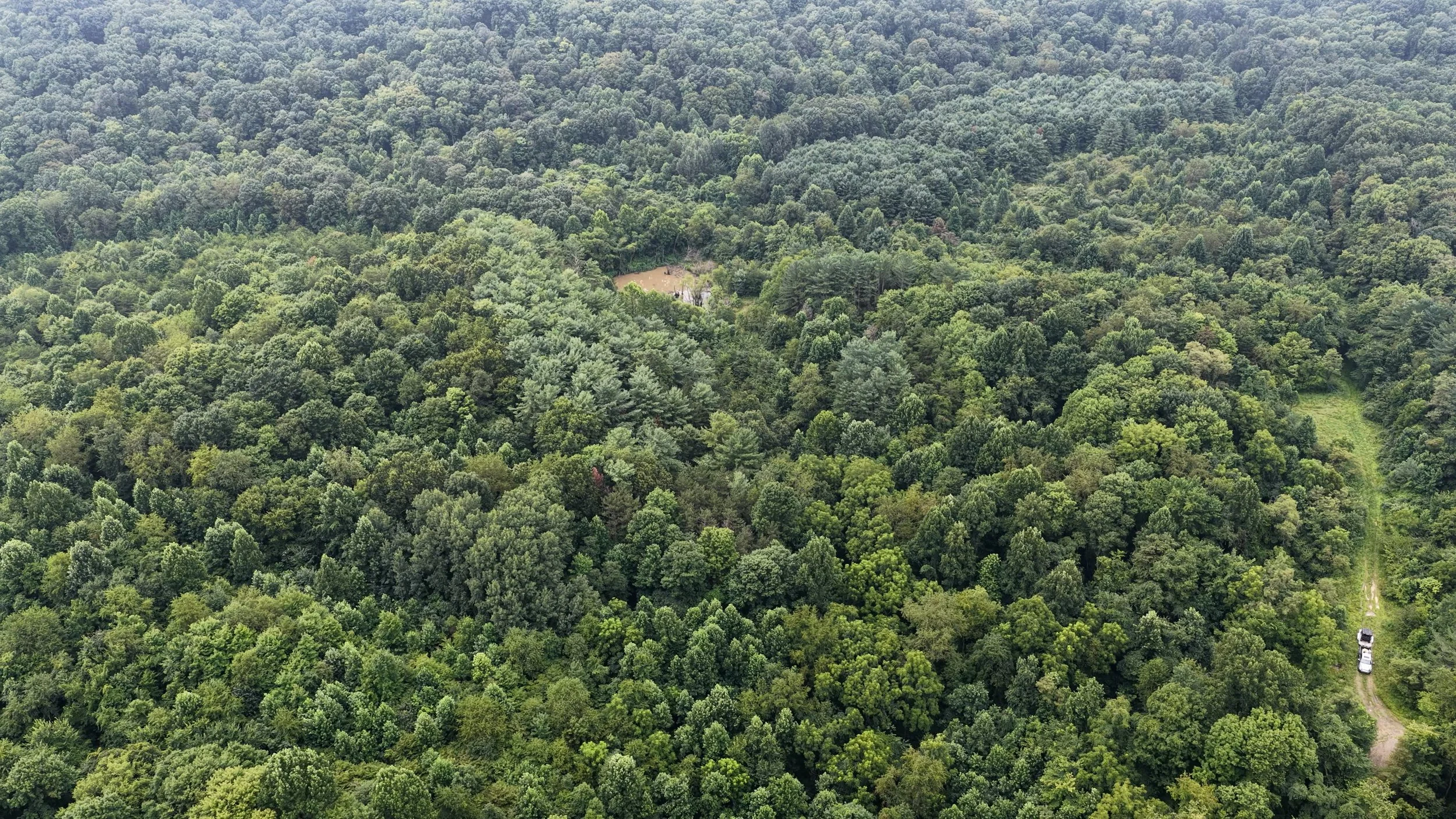 DJI_20260806103656_0024_D.MP4.00_01_08_38.Still005.jpg