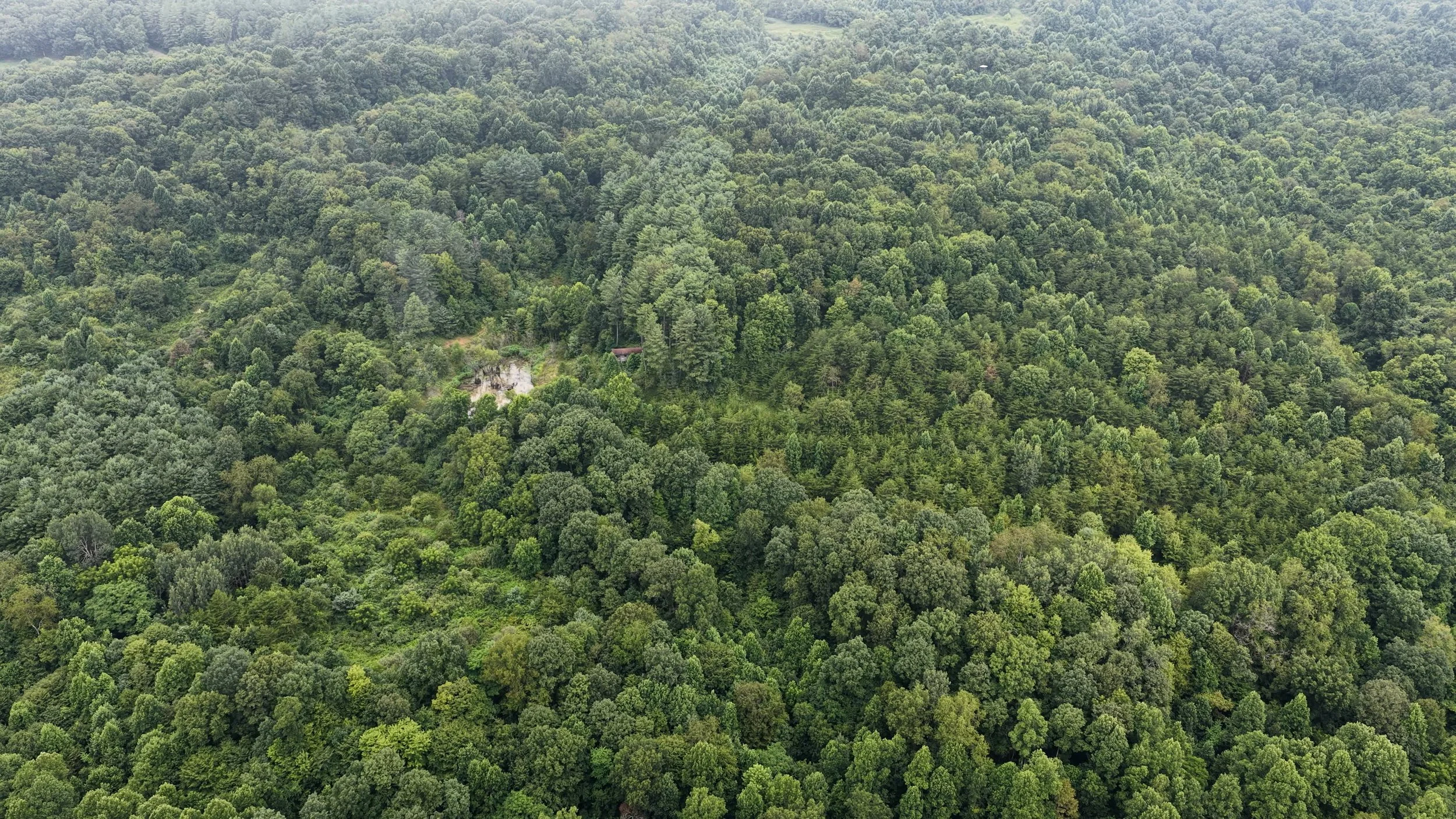 DJI_20260806103656_0024_D.MP4.00_02_28_42.Still004.jpg