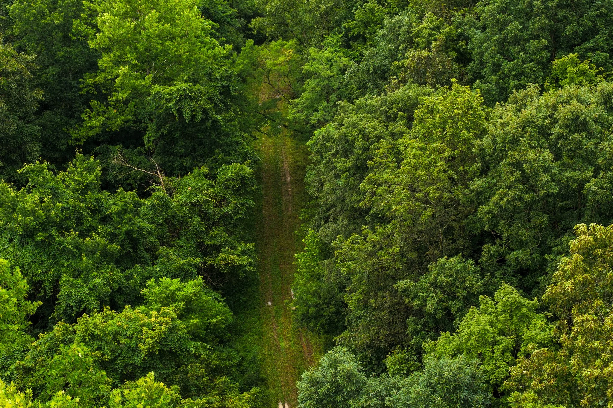 DJI_20260728124137_0046_D.jpg