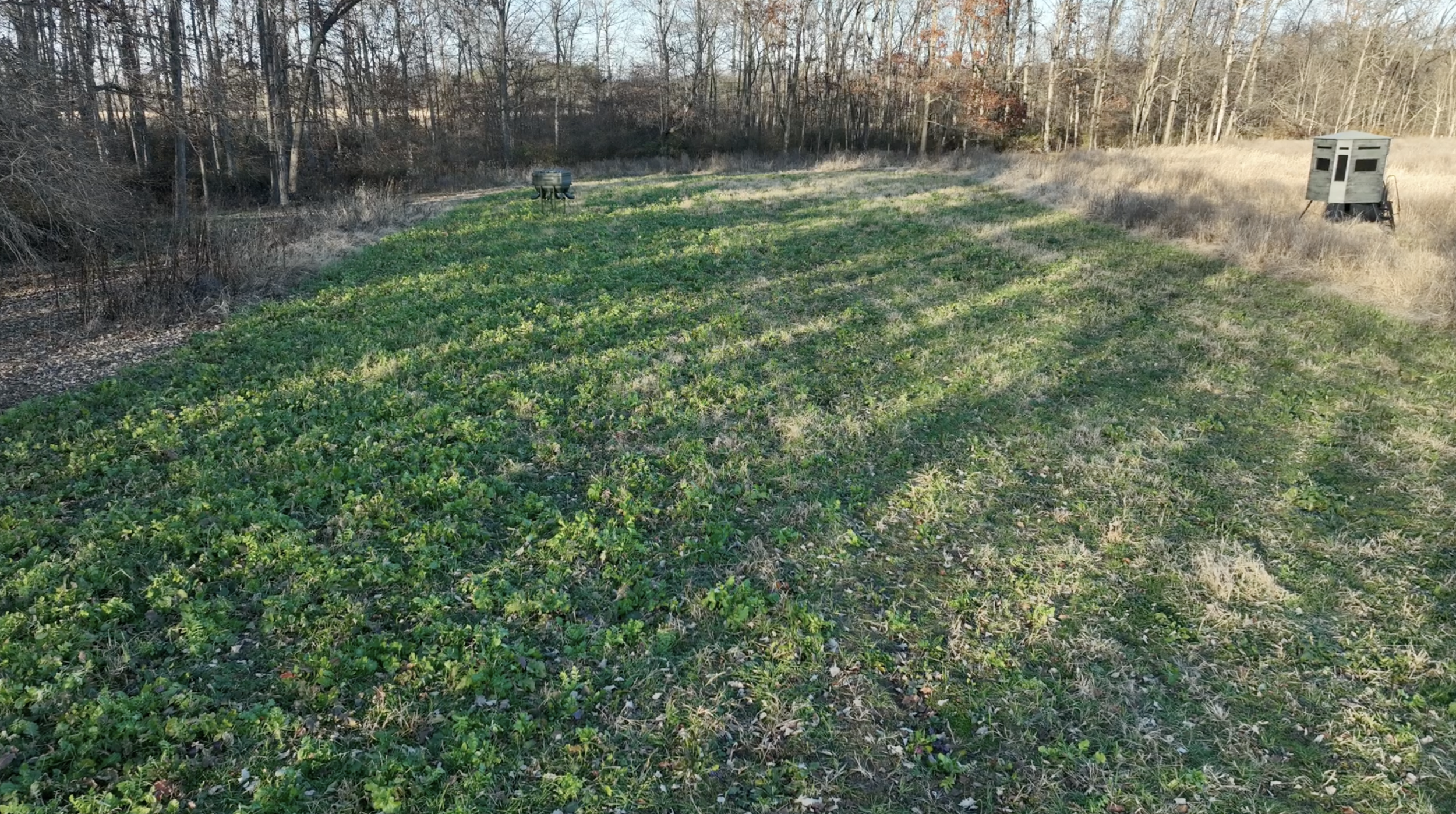 Screenshot 2025-11-18 at 9.46.34 PM.png