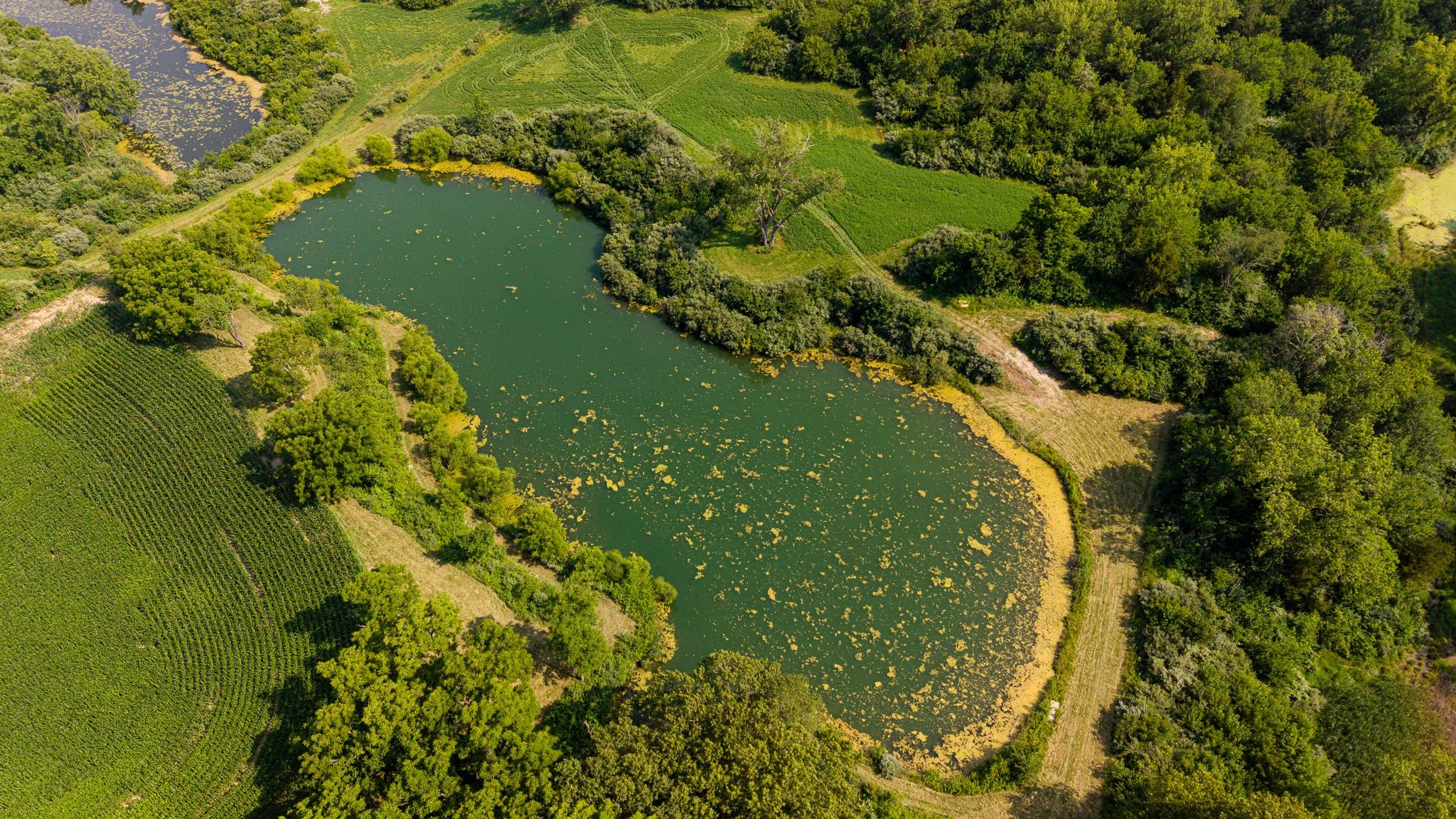 DJI_20260715051826_0066_D.jpg