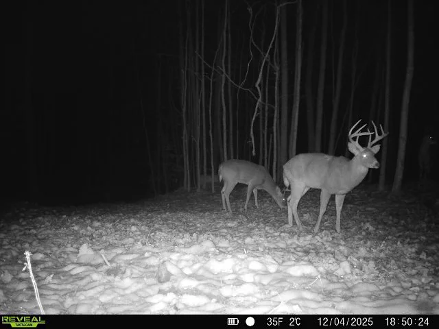 860516064181302-60-2-12042025185024-W1008258 2.JPG