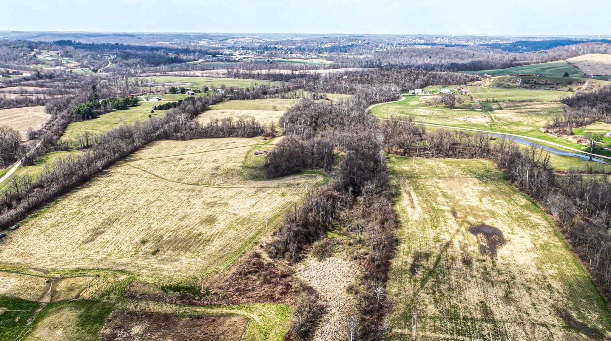 Screenshot 2026-03-31 at 10.58.33 AM.jpg