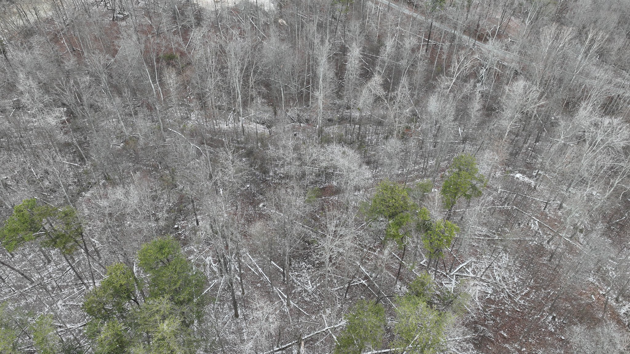 DJI_0580.jpg