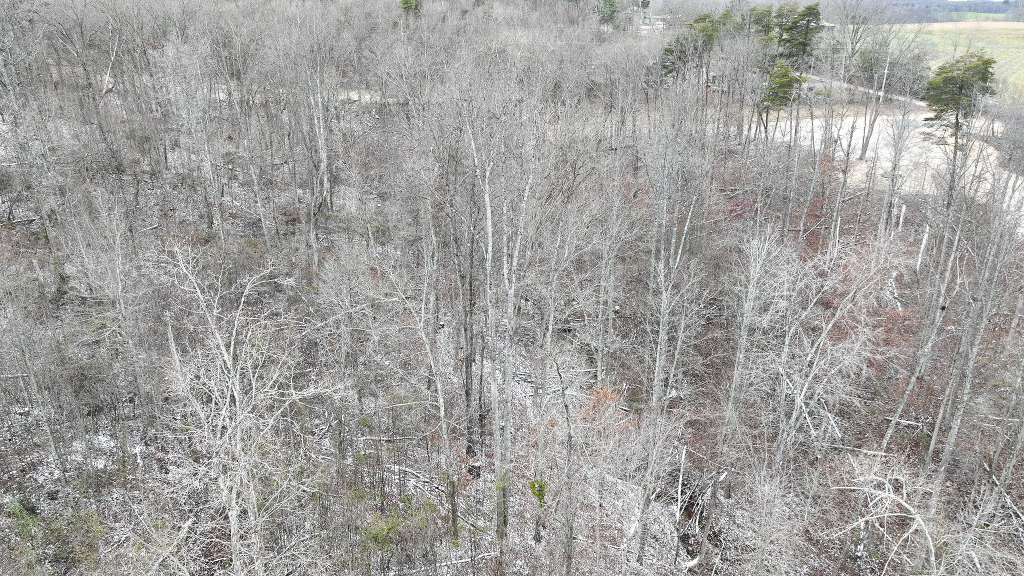 DJI_0583.jpg