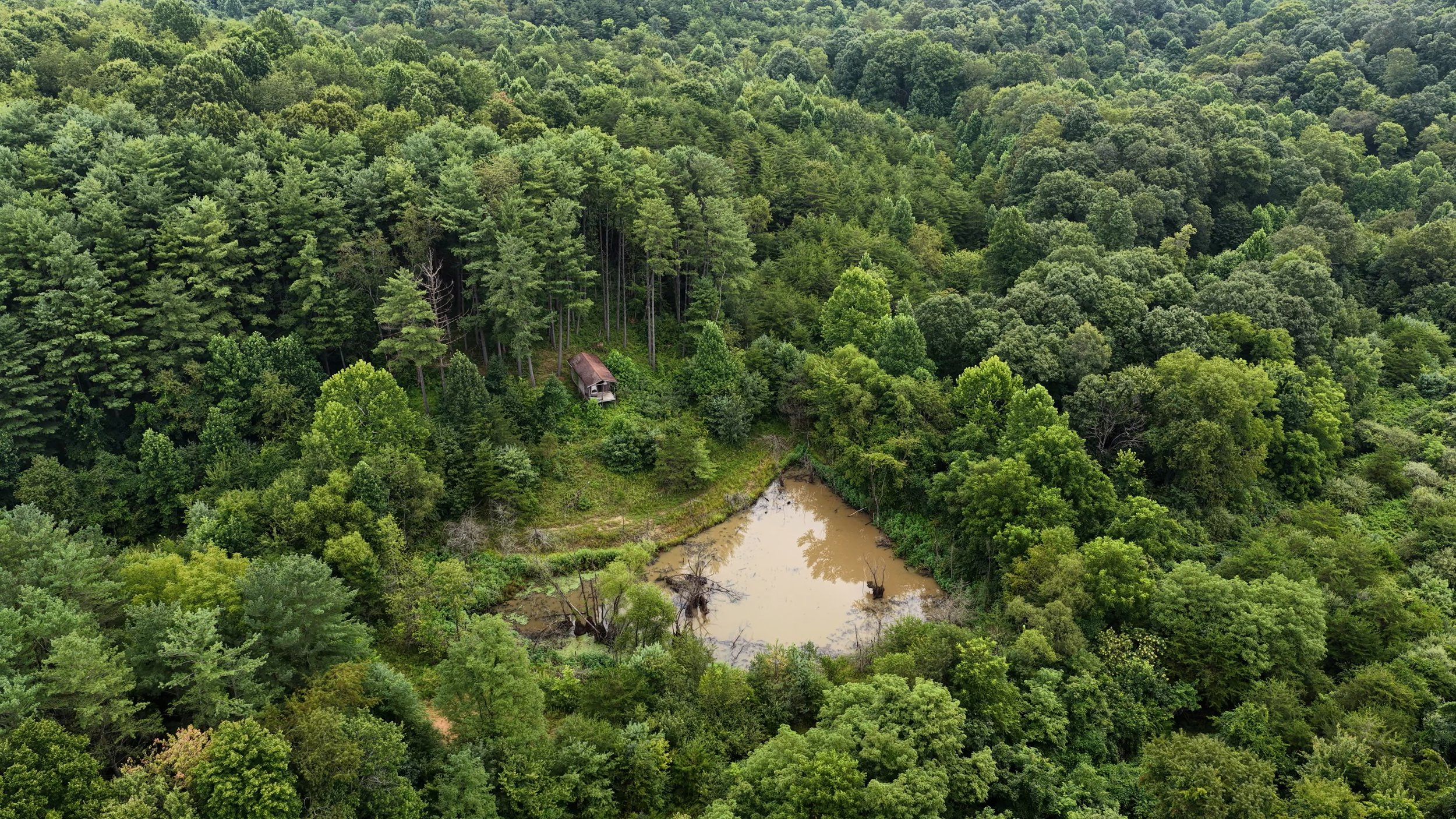 DJI_20260806103656_0024_D.MP4.00_04_00_12.Still002.jpg