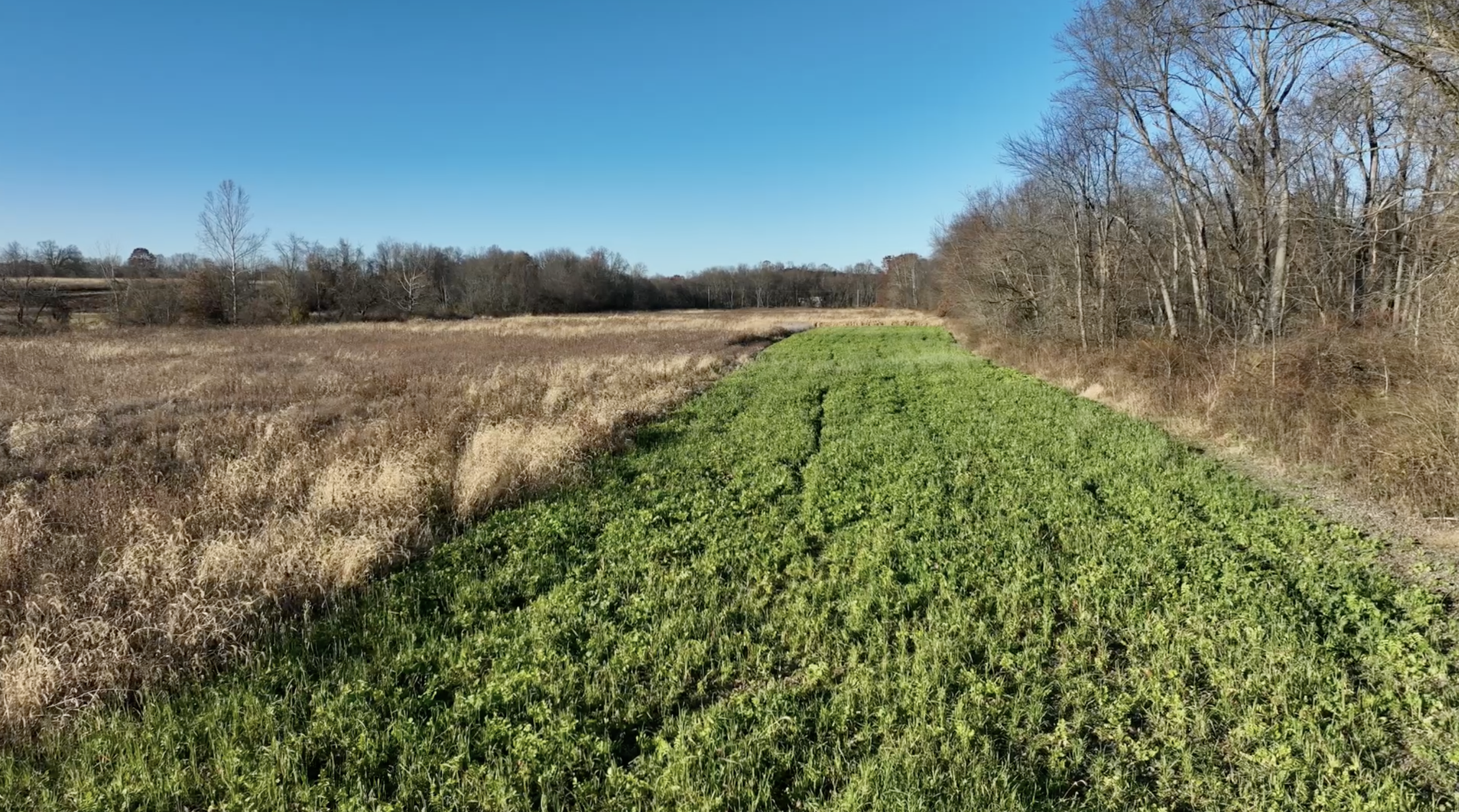 Screenshot 2025-11-18 at 9.41.46 PM.png