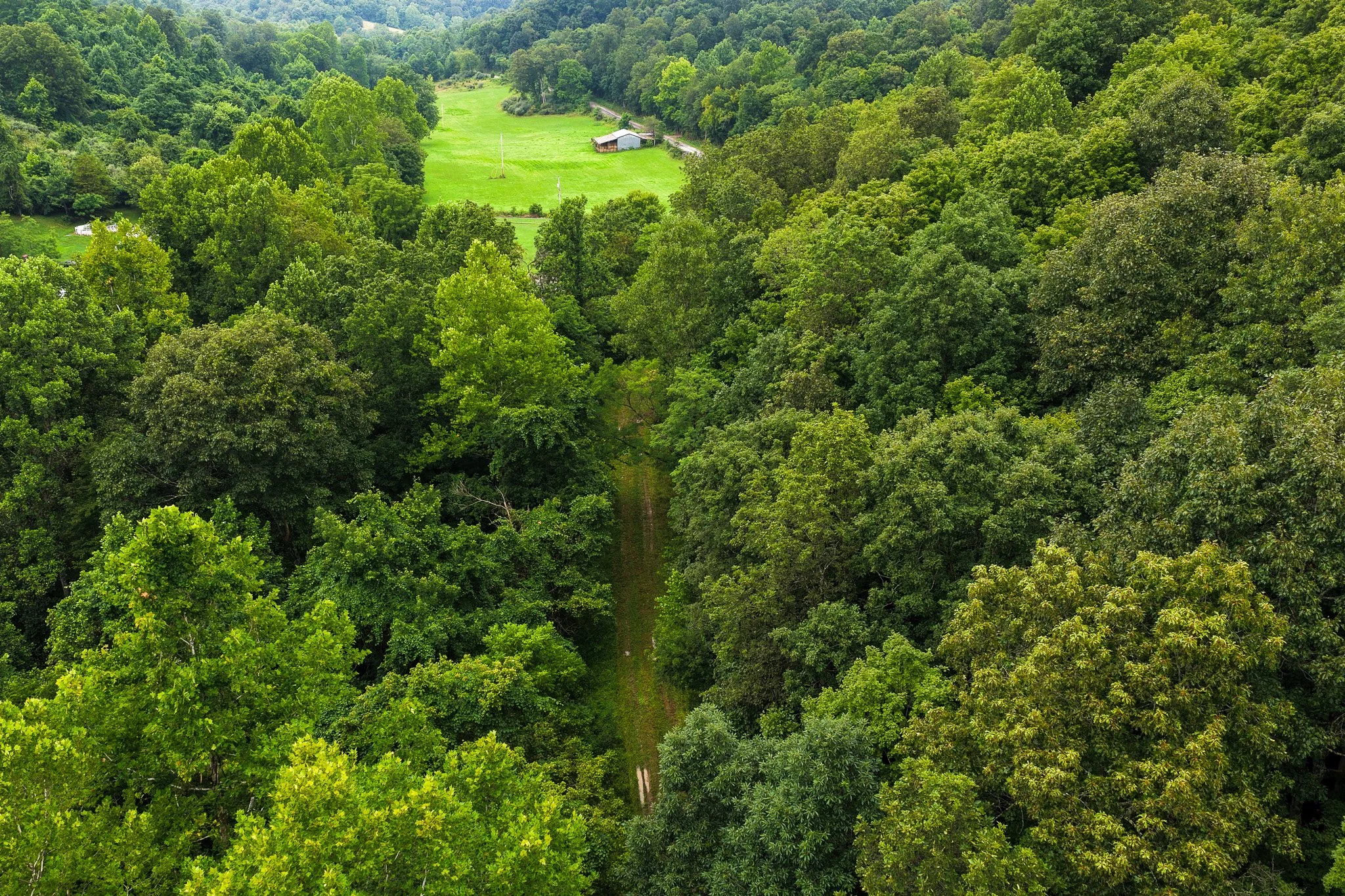 DJI_20260728124132_0045_D.jpg