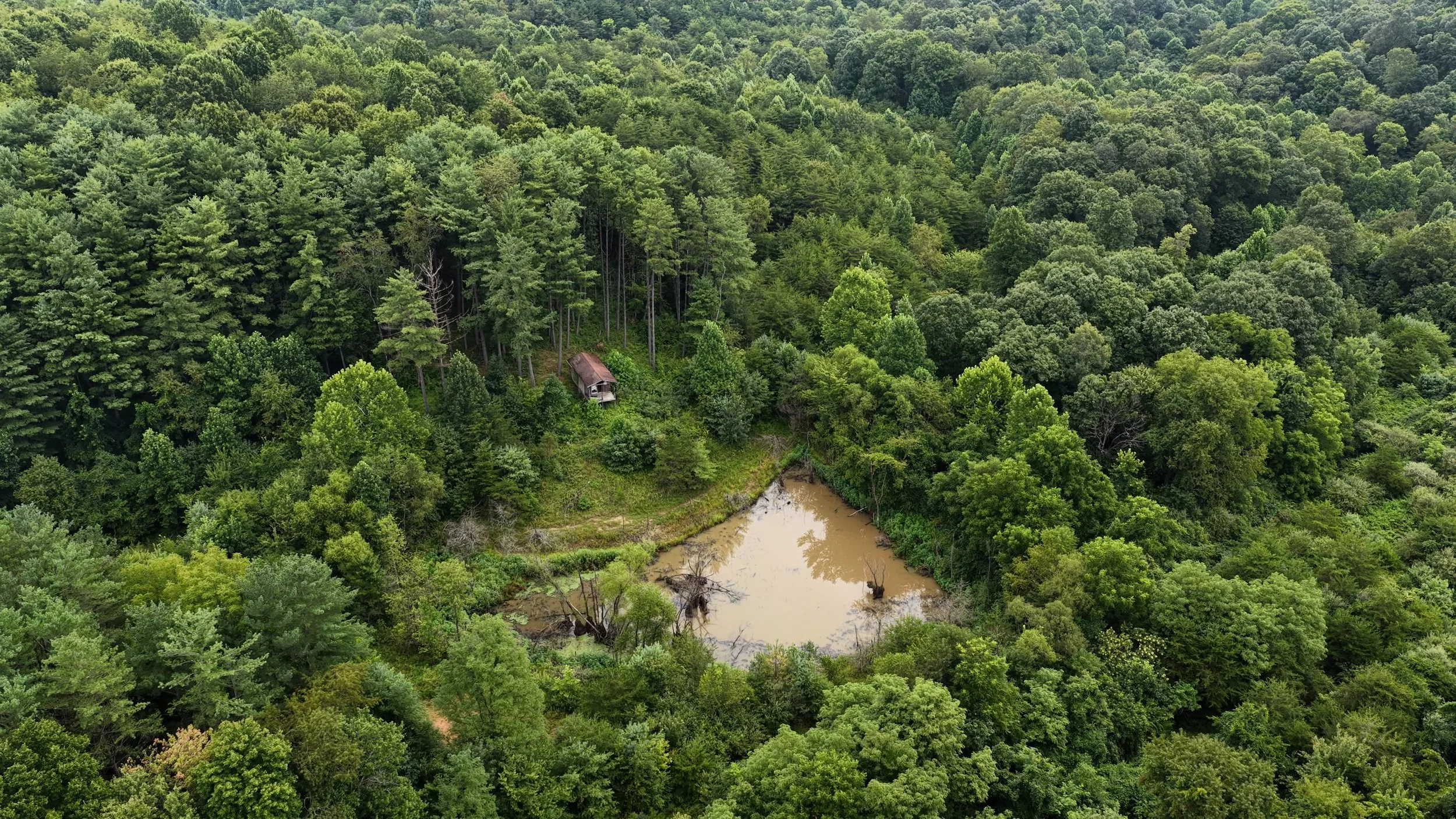 DJI_20260806103656_0024_D.MP4.00_04_00_12.Still001.jpg