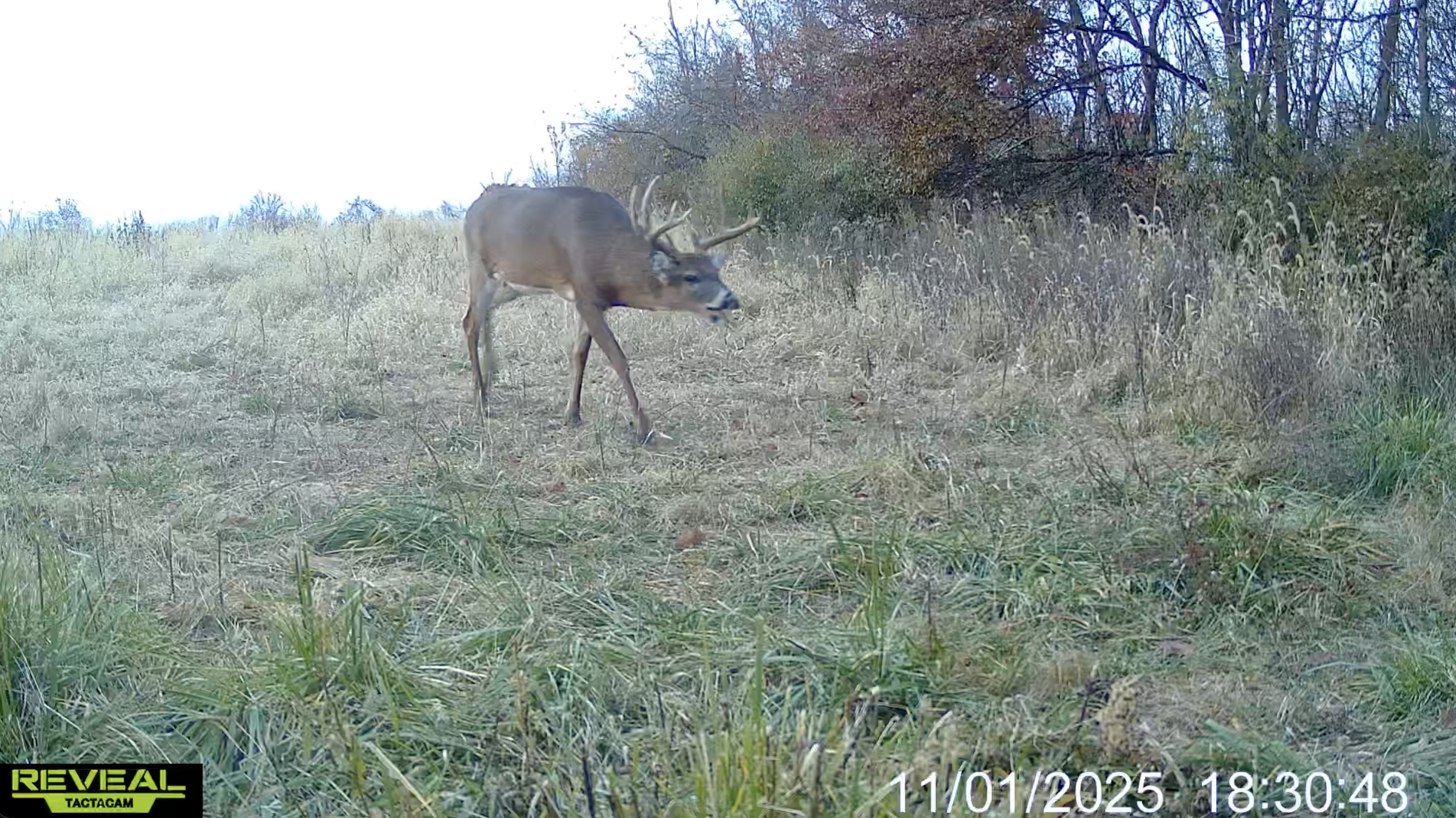 Screenshot 2026-03-31 at 10.47.50 AM.png