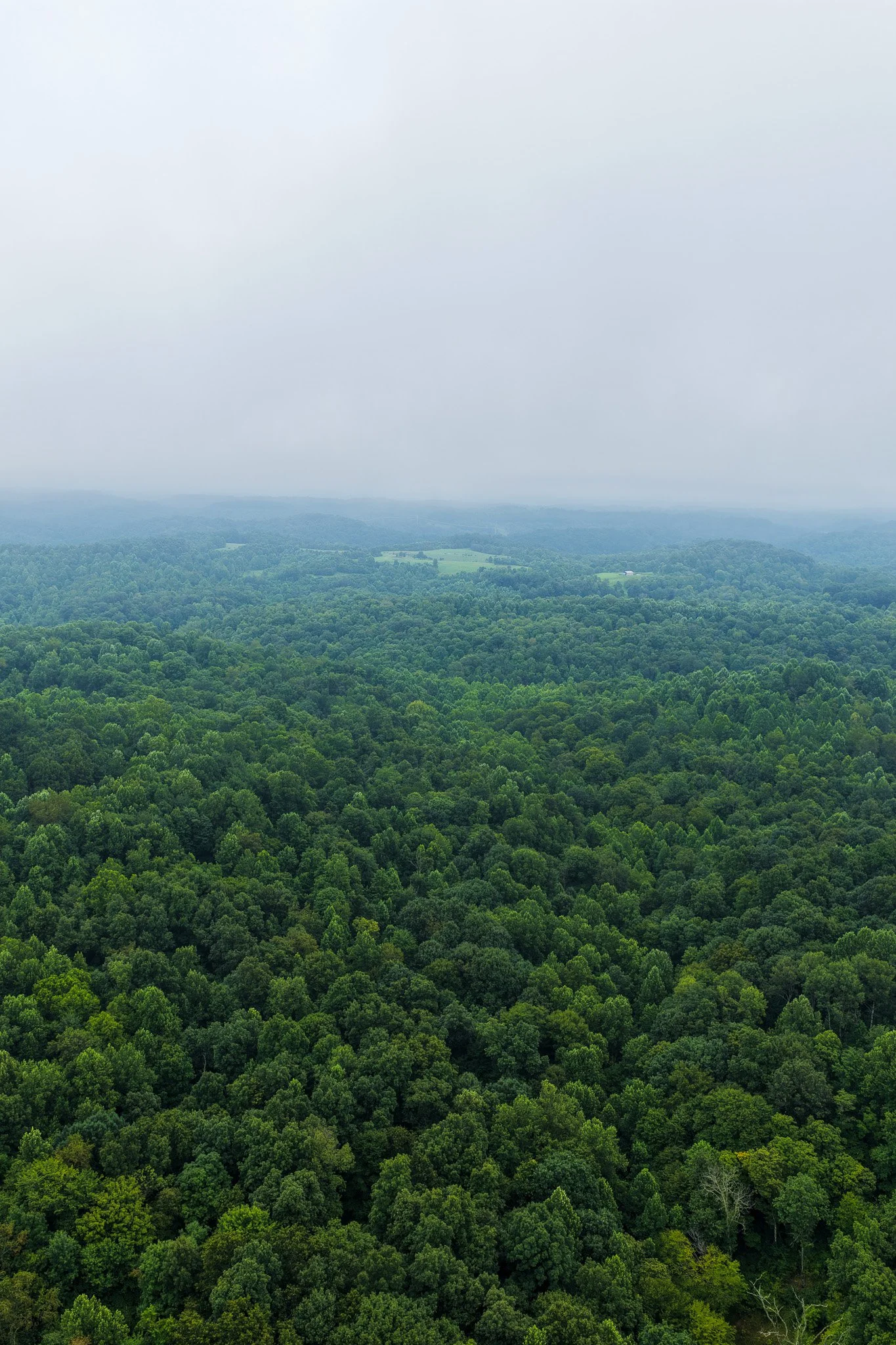 DJI_20260728123831_0034_D.jpg