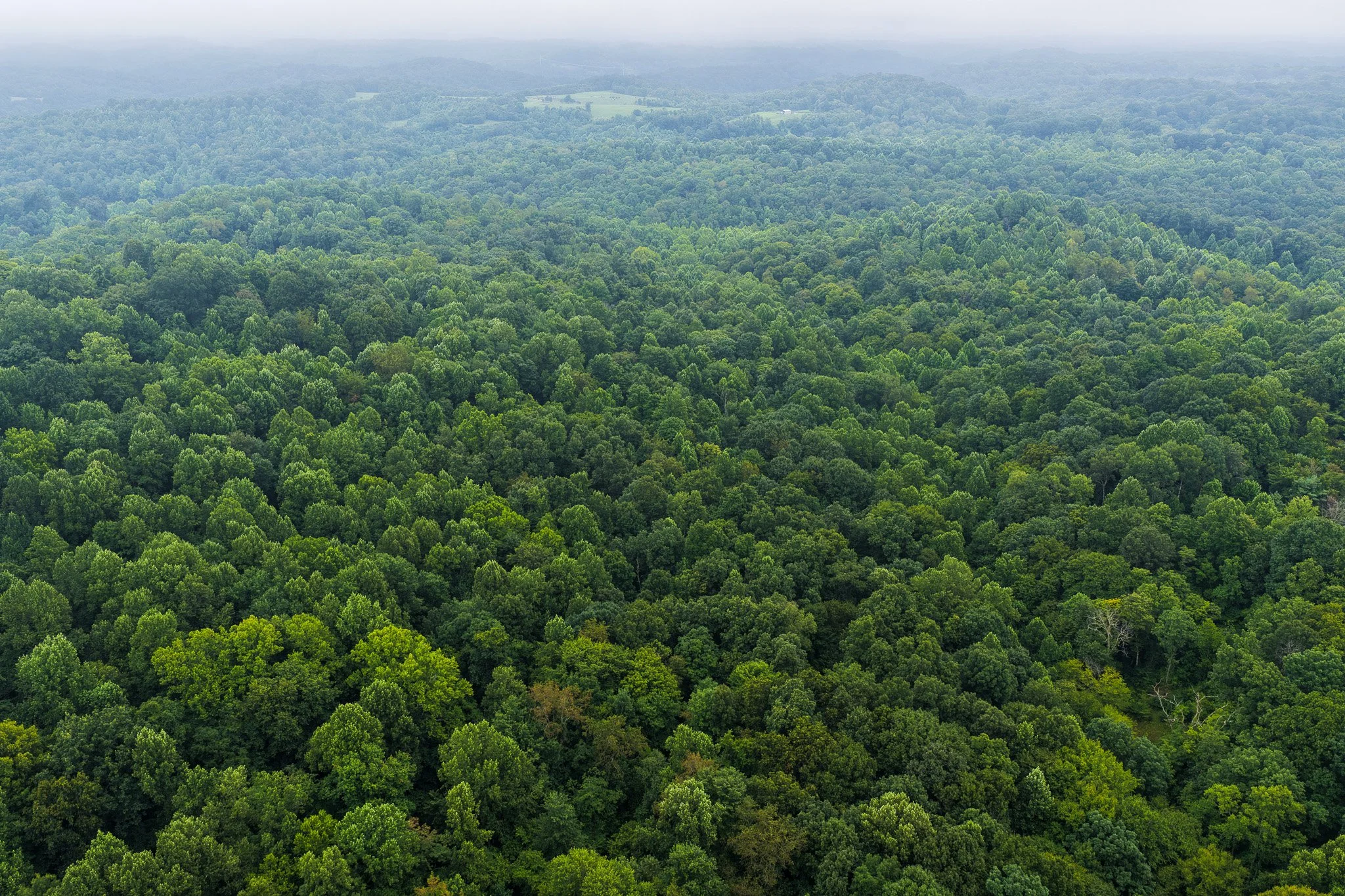 DJI_20260728123811_0033_D.jpg