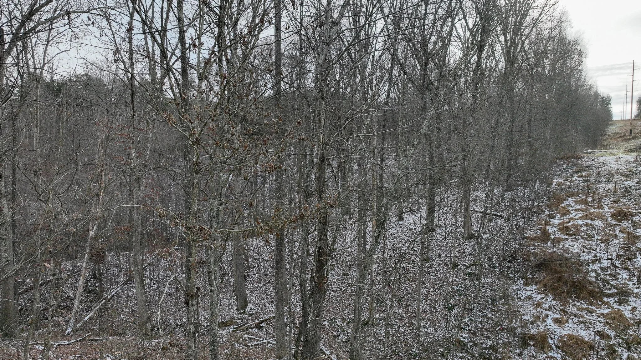 DJI_0598.jpg