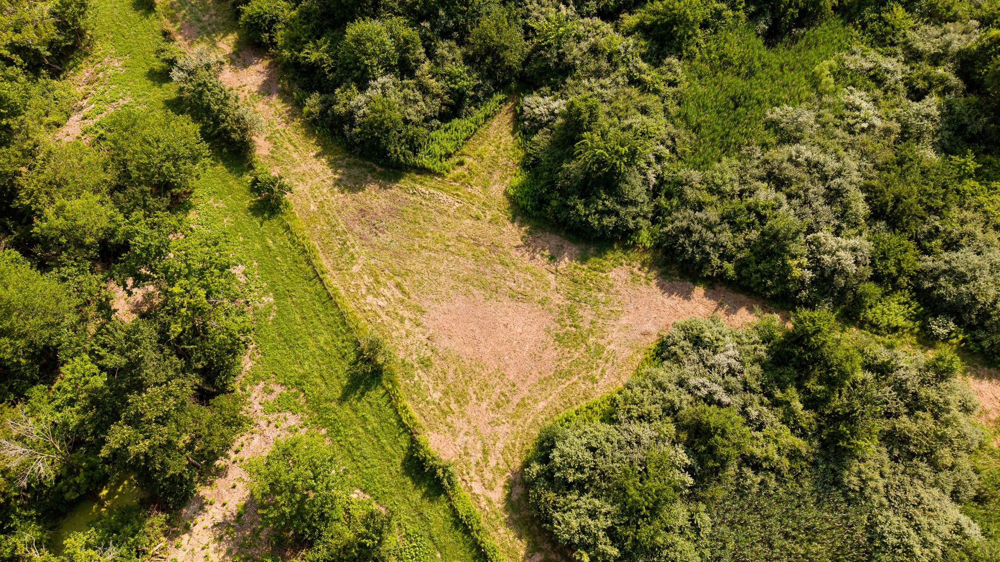 DJI_20260715051943_0071_D.jpg