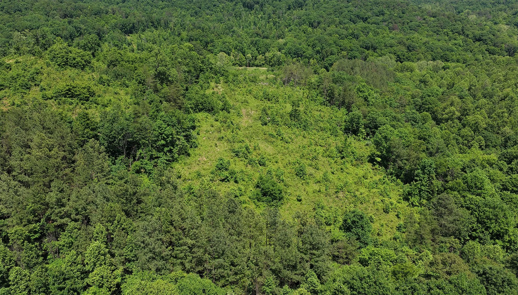DJI_20260gggg4_D.jpg