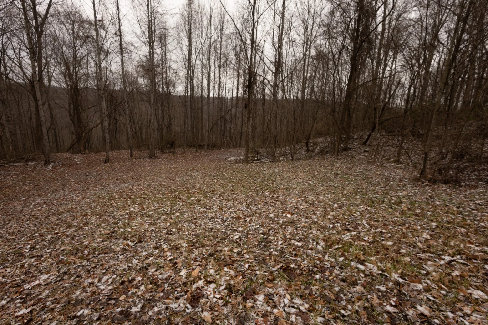 _A9A3019.jpg