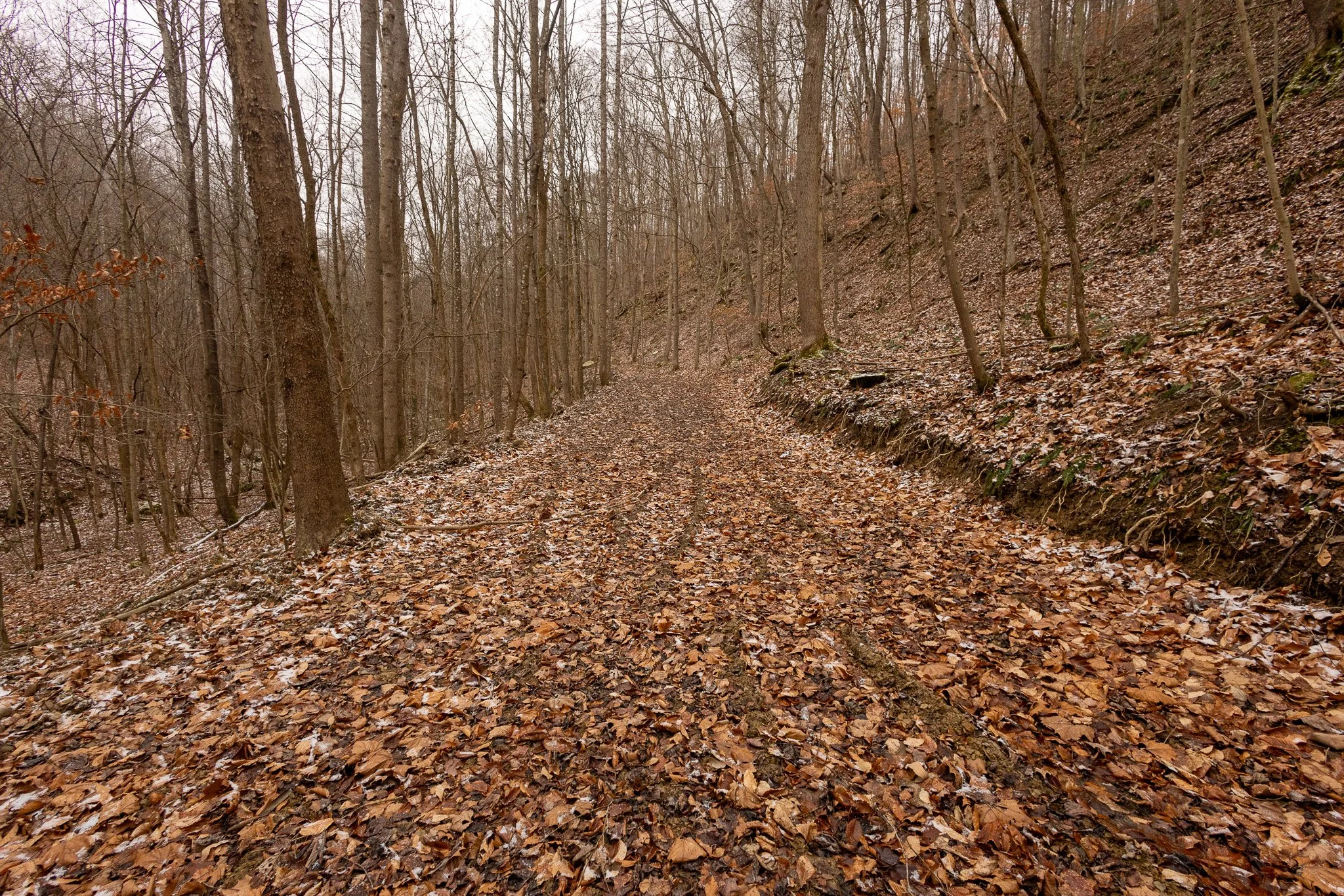 _A9A3068.jpg