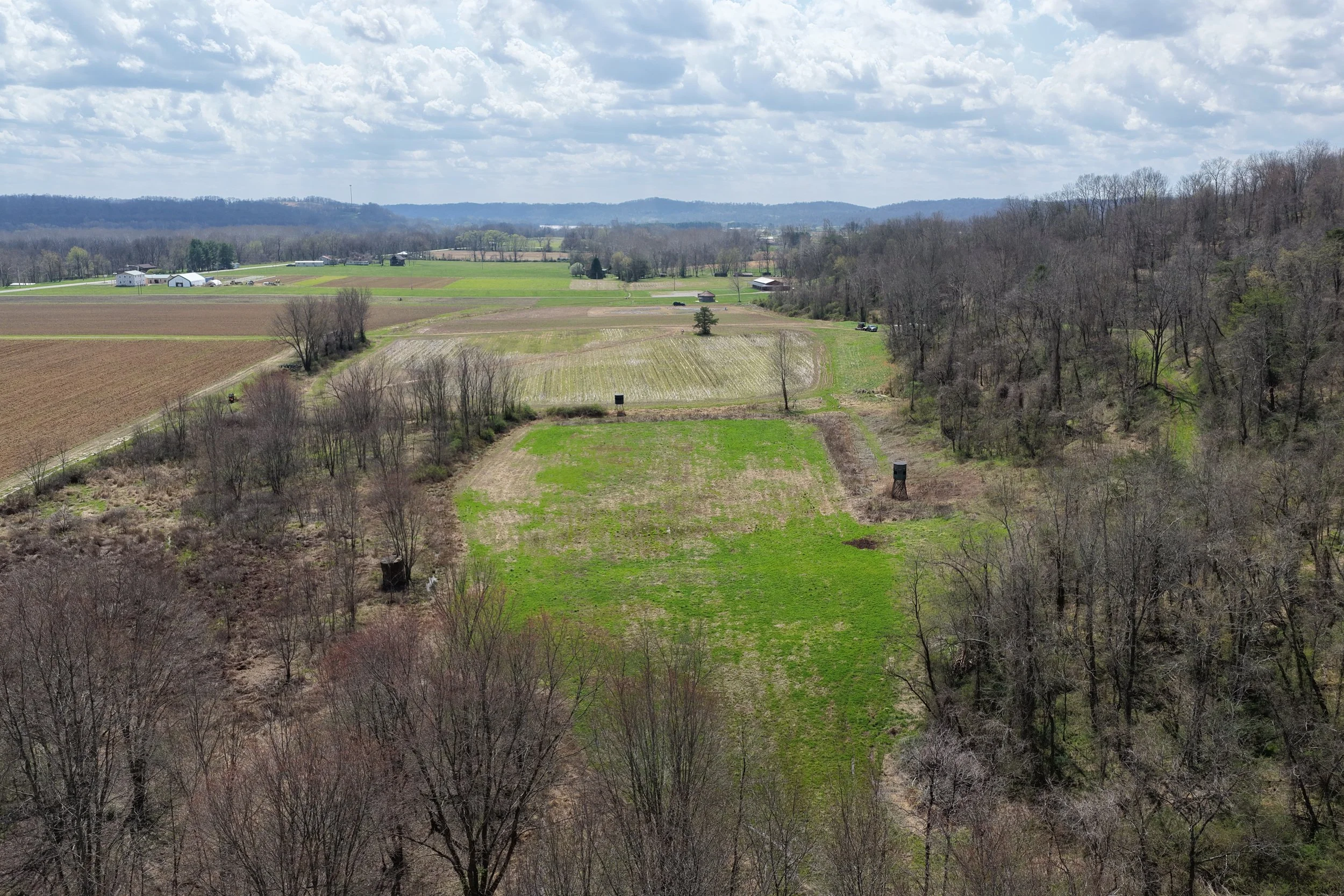 DJI_20260331132340_0008_D.JPG
