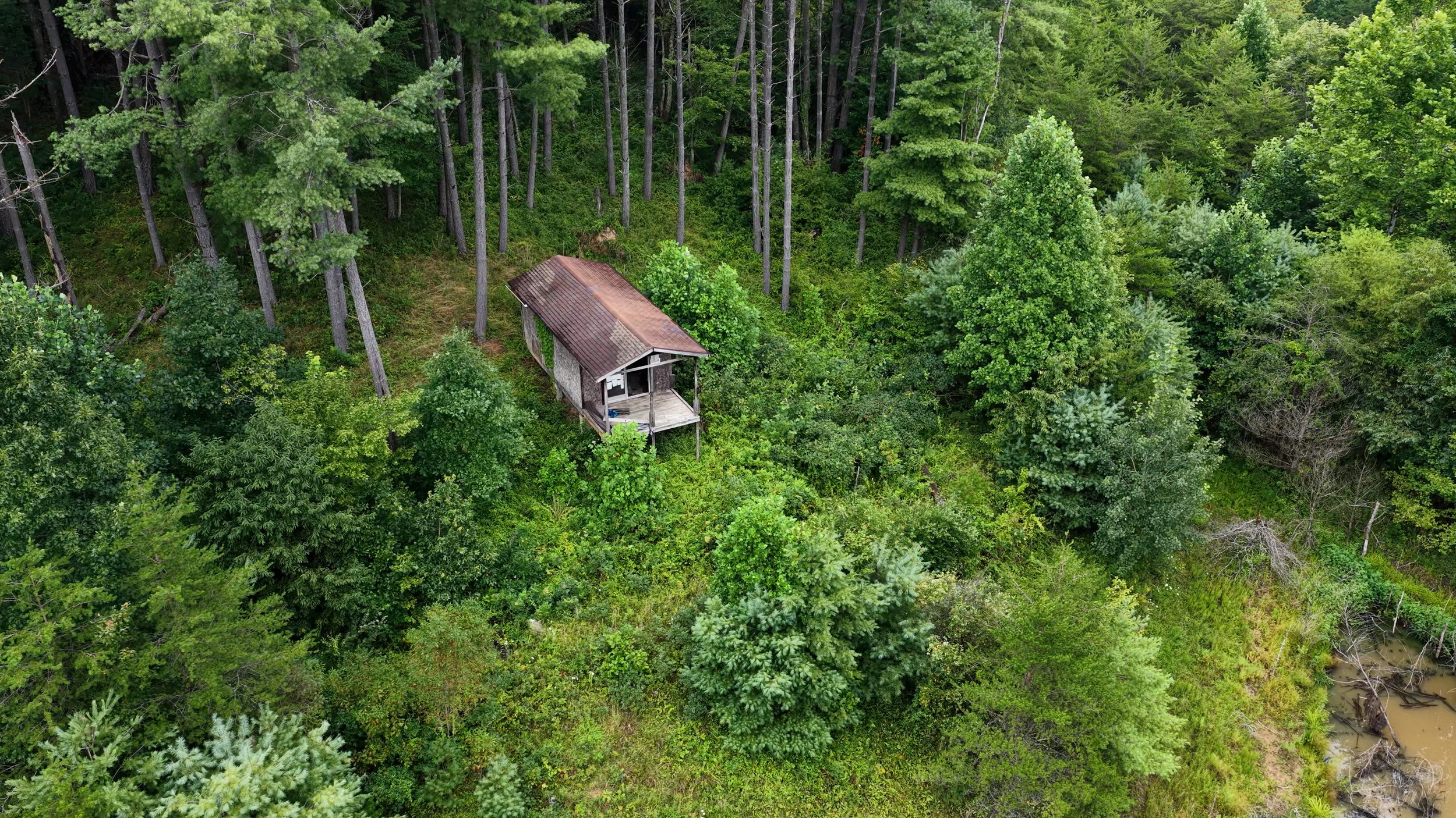DJI_20260806103656_0024_D.MP4.00_07_43_35.Still003.jpg