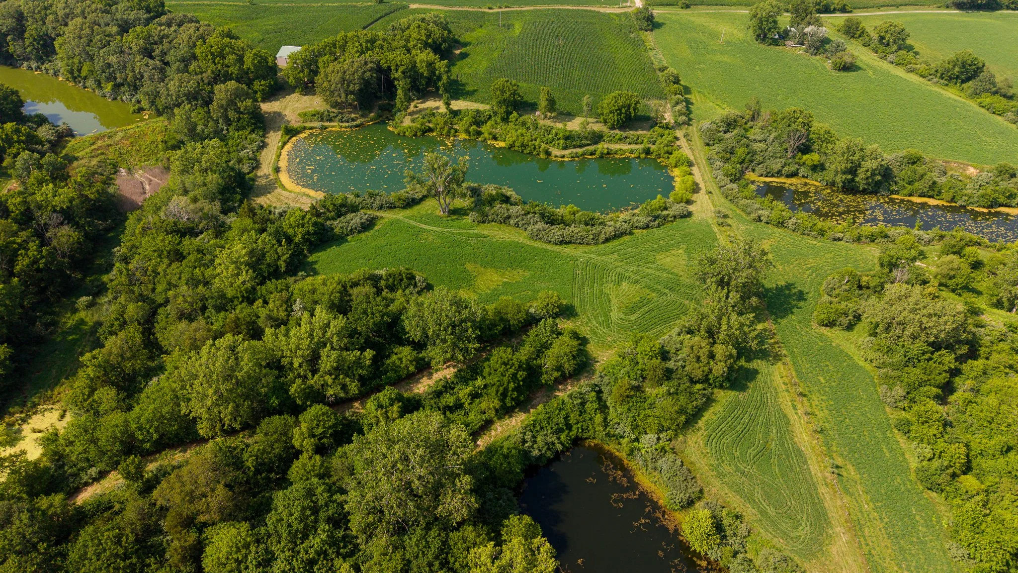 DJI_20260715052101_0074_D.jpg