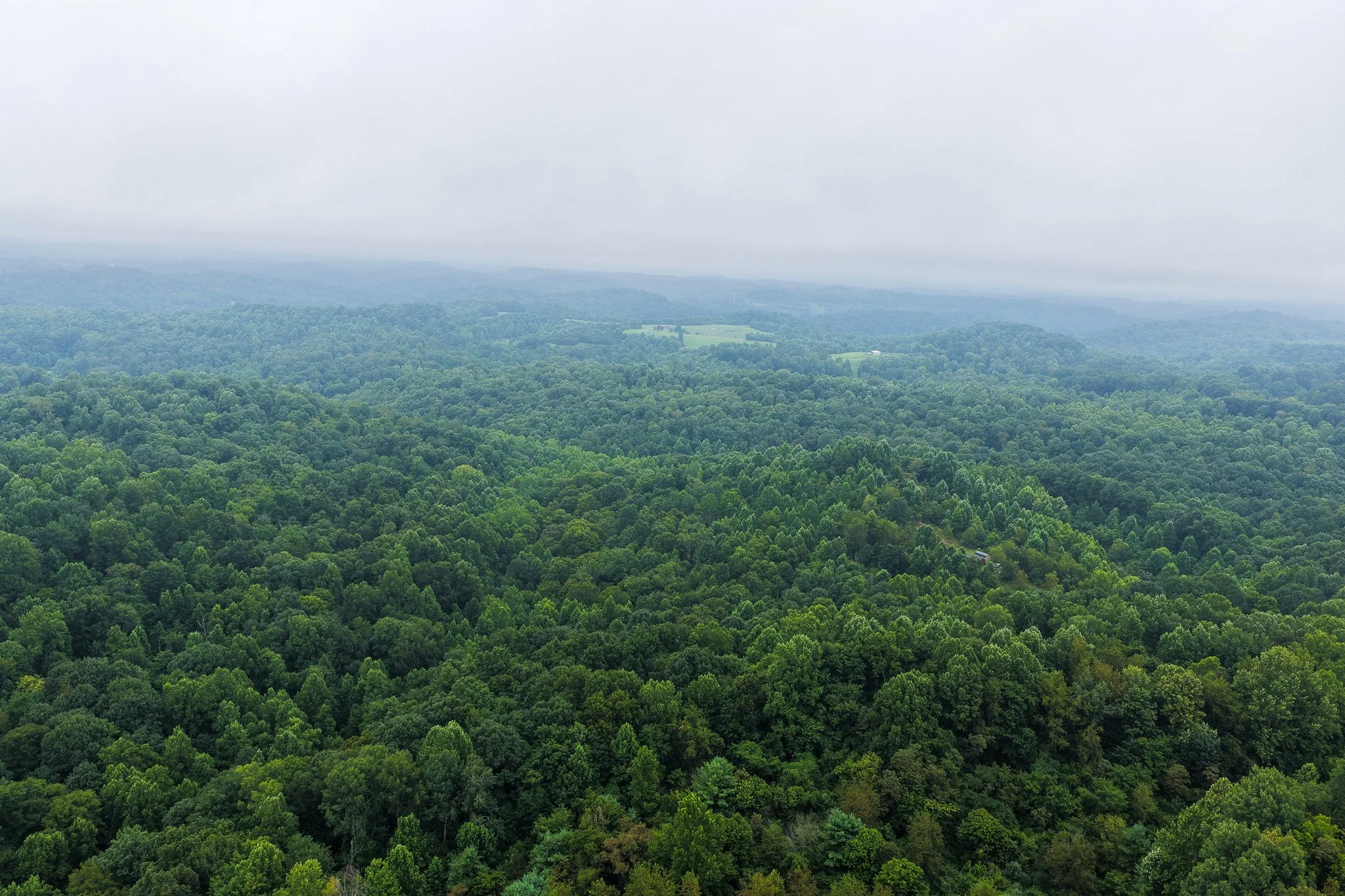 DJI_20260728123848_0035_D.jpg