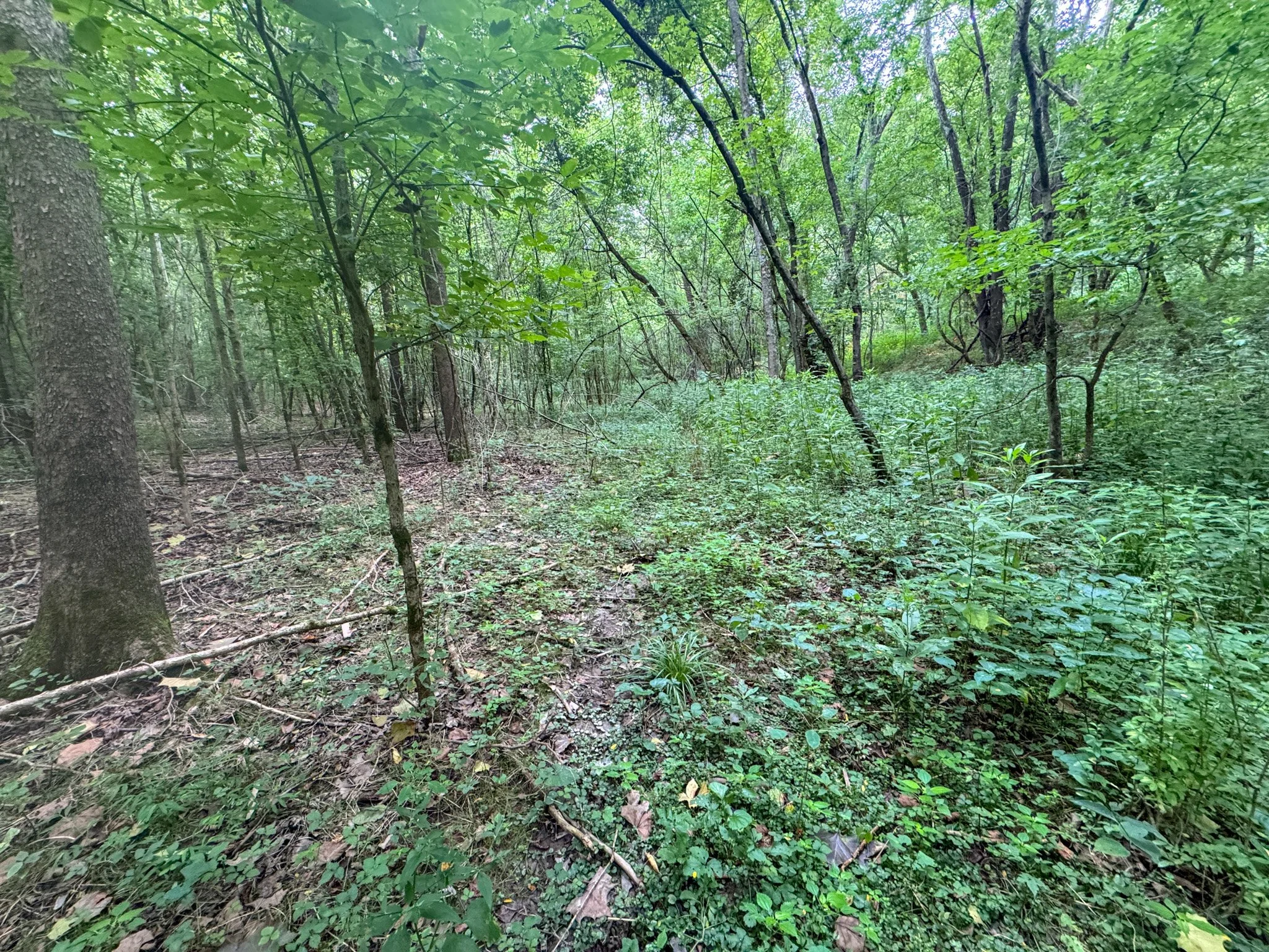 IMG_2293.jpg