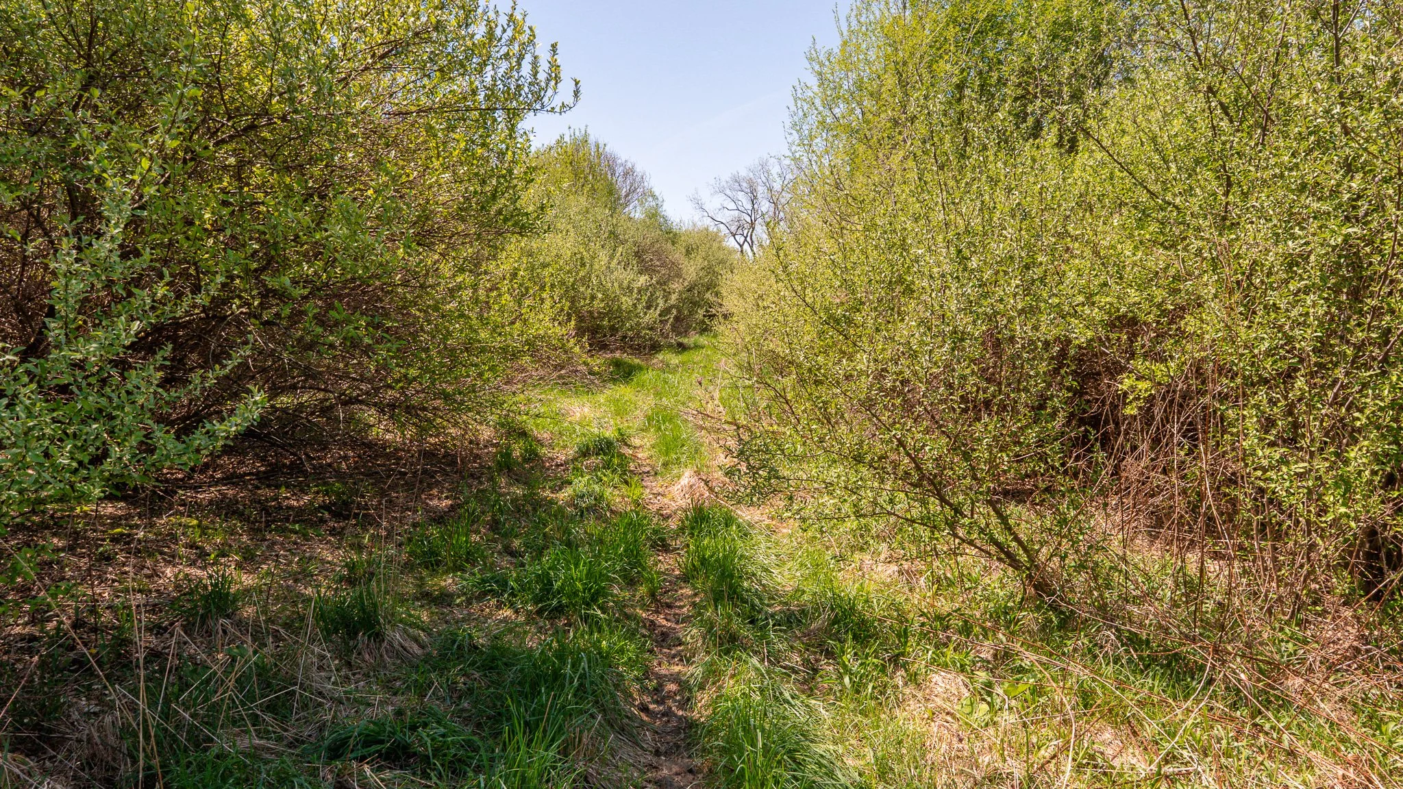 DSC04304.jpg