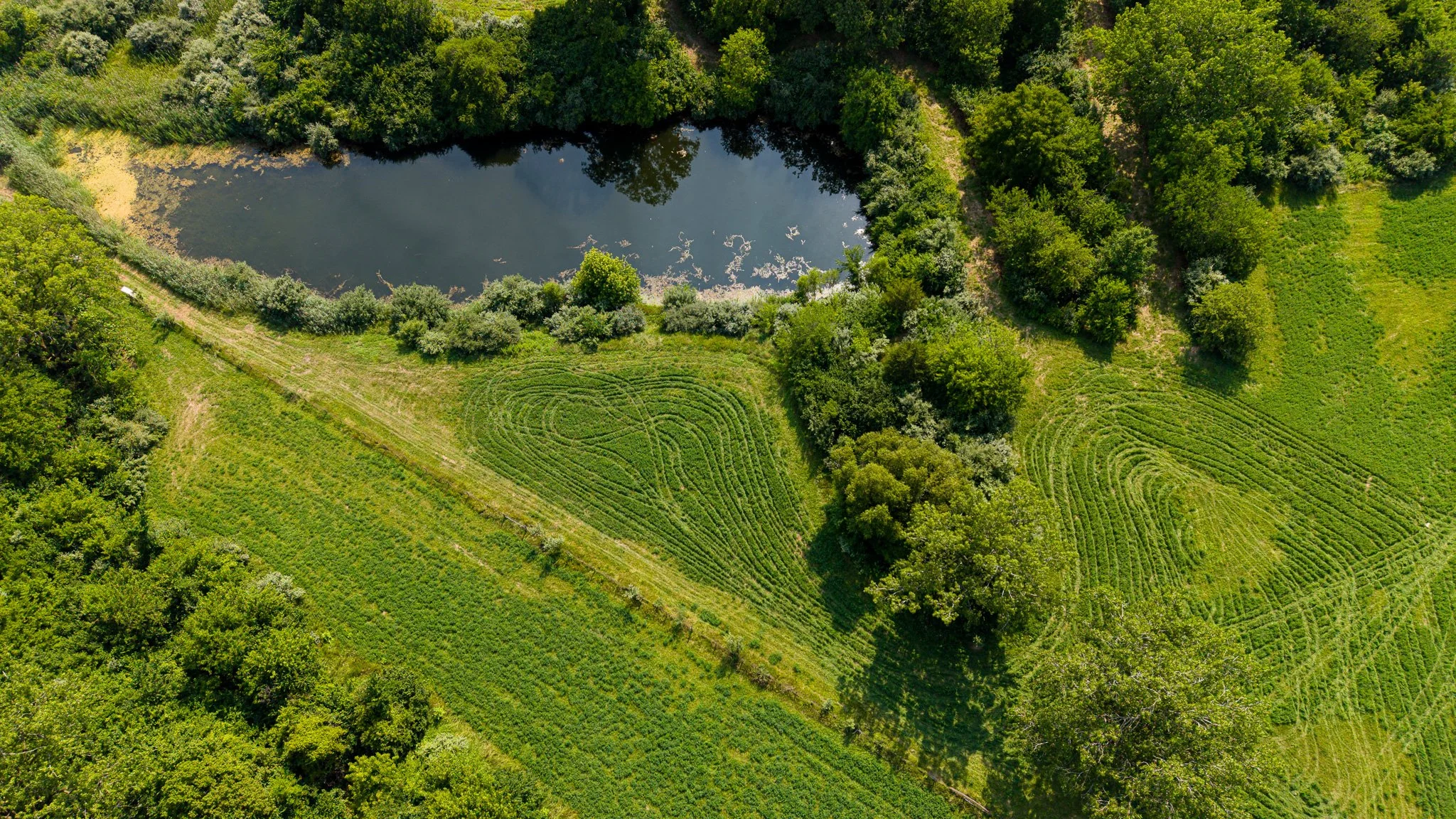 DJI_20260715051907_0069_D.jpg