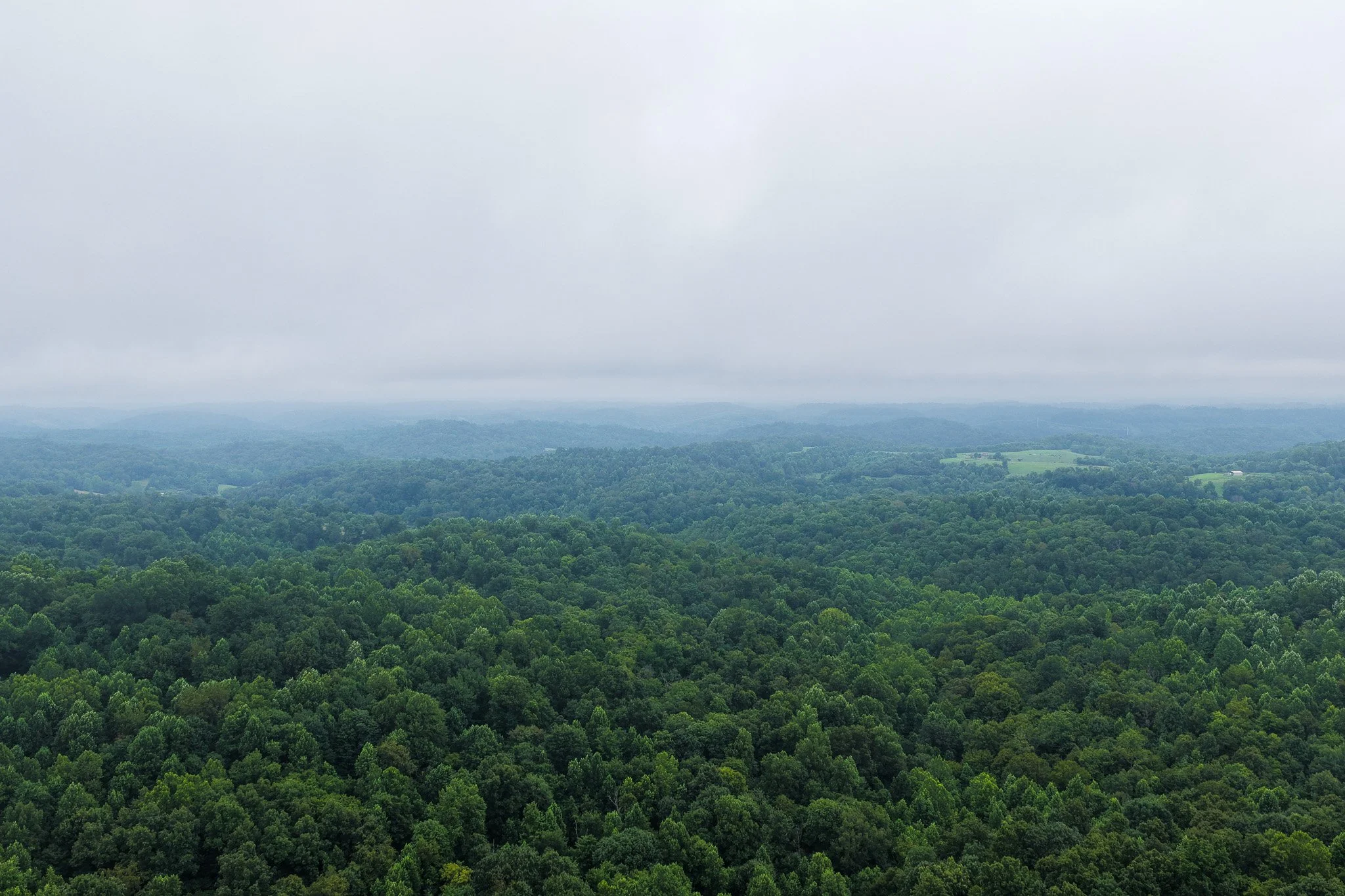 DJI_20260728123350_0031_D.jpg