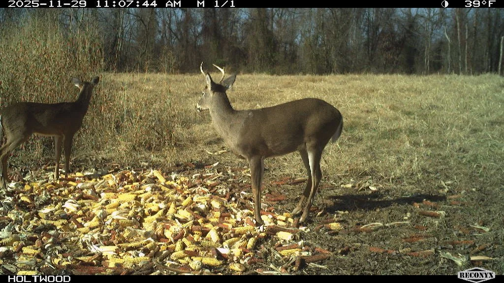 MBL_4416.JPG