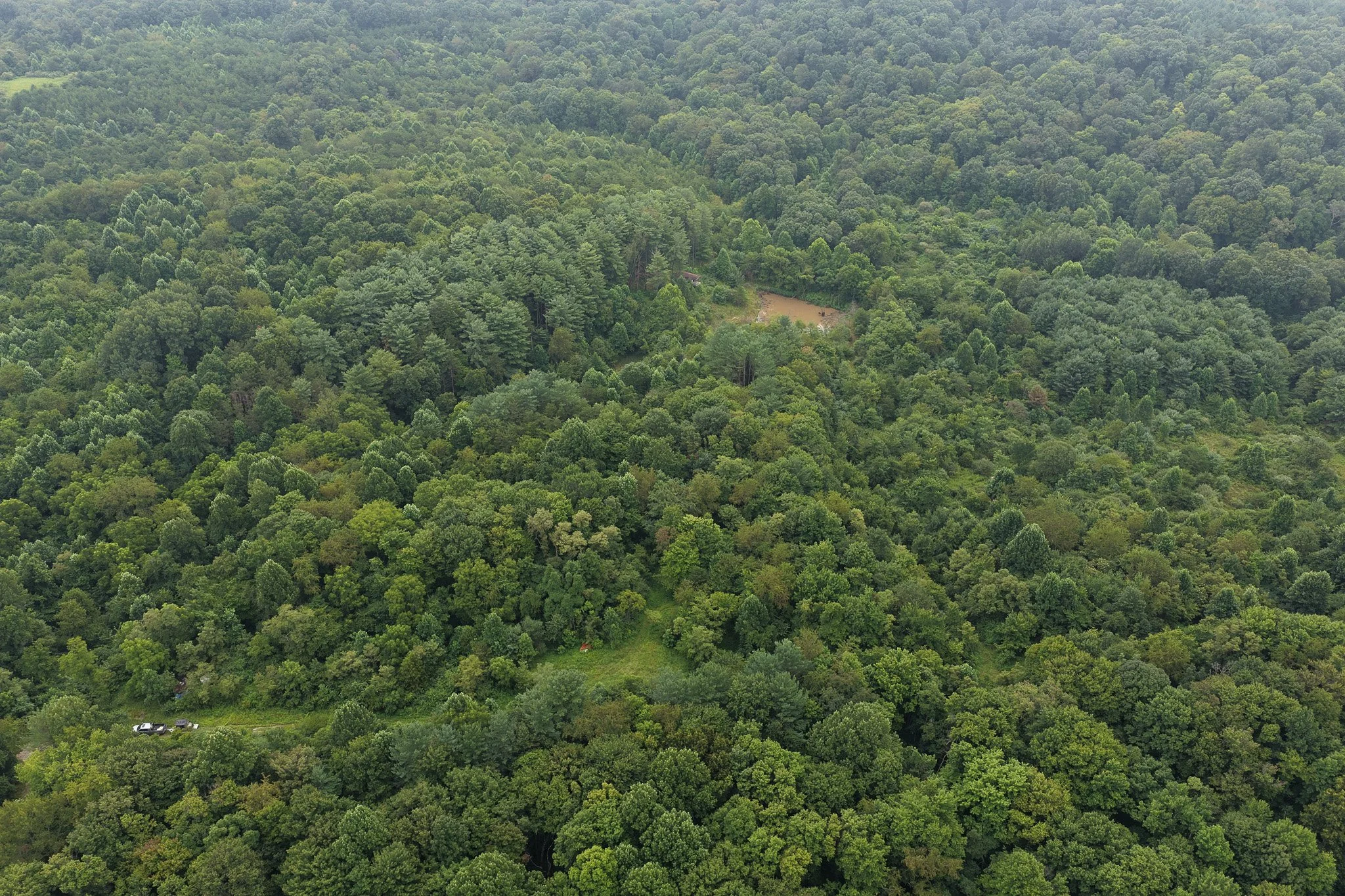 DJI_20260806103644_0023_D.jpg