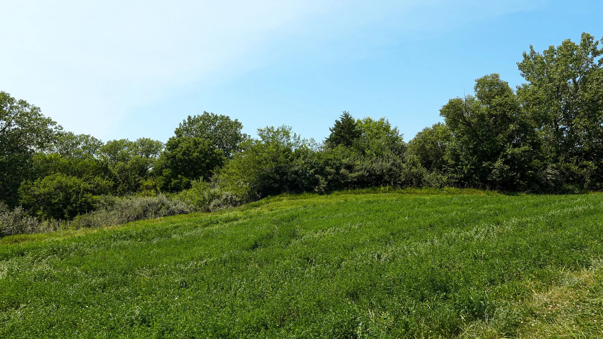 DSC04470.jpg