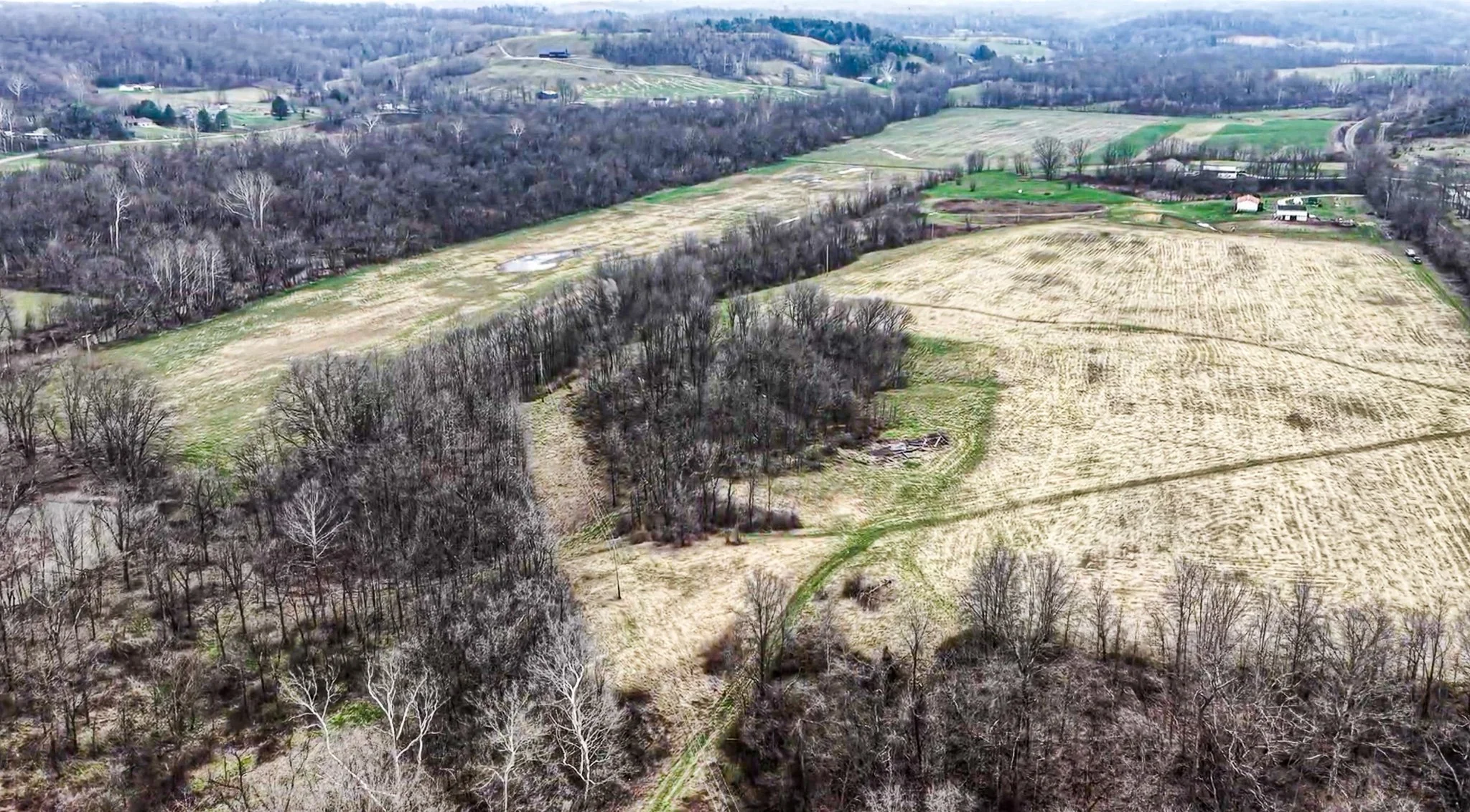 Screenshot 2026-03-31 at 10.59.20 AM.jpg