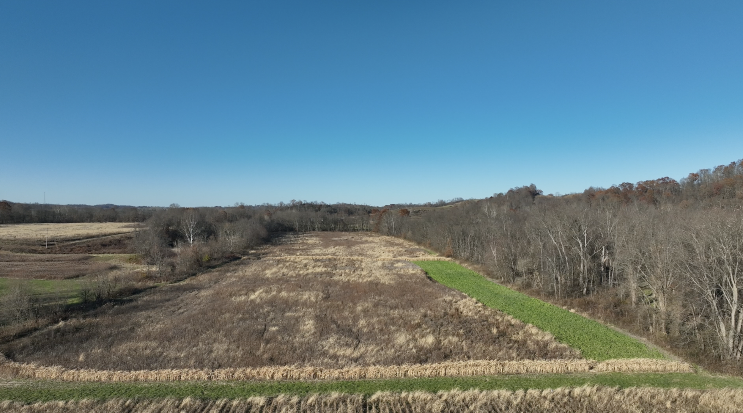 Screenshot 2025-11-18 at 9.38.30 PM.png