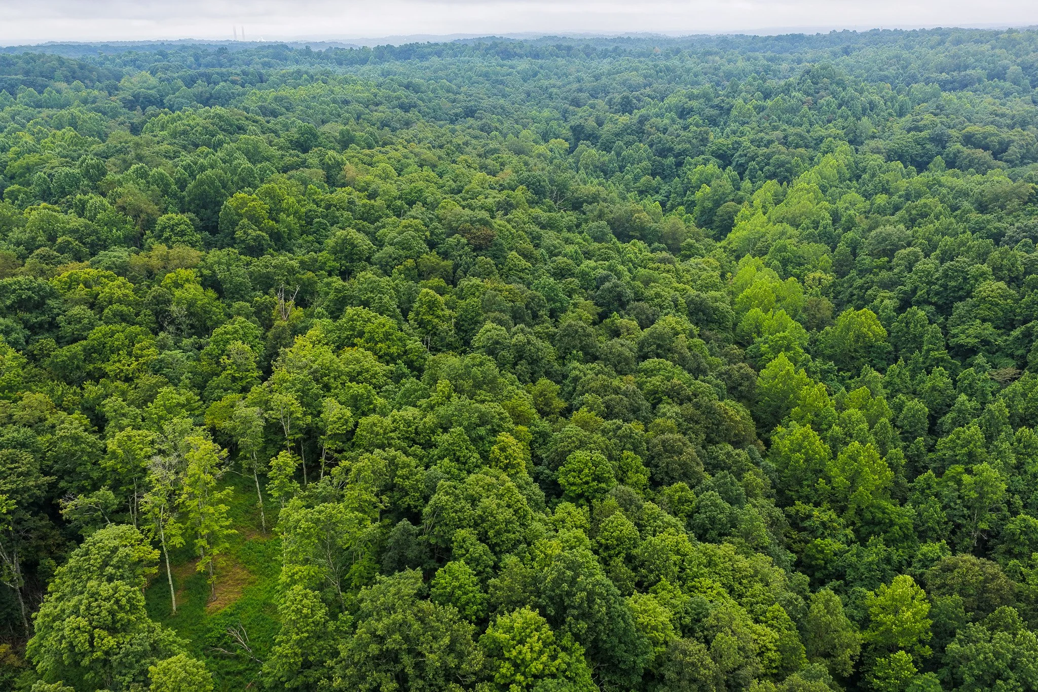 DJI_20260728124313_0050_D.jpg