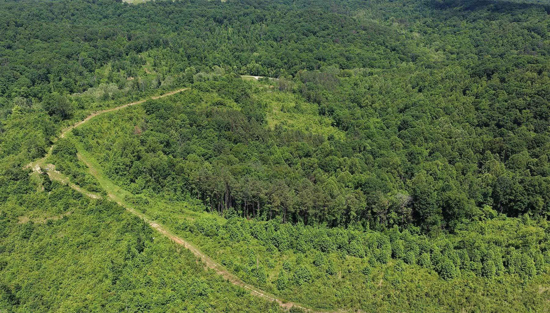 DJI_20260024_D.jpg