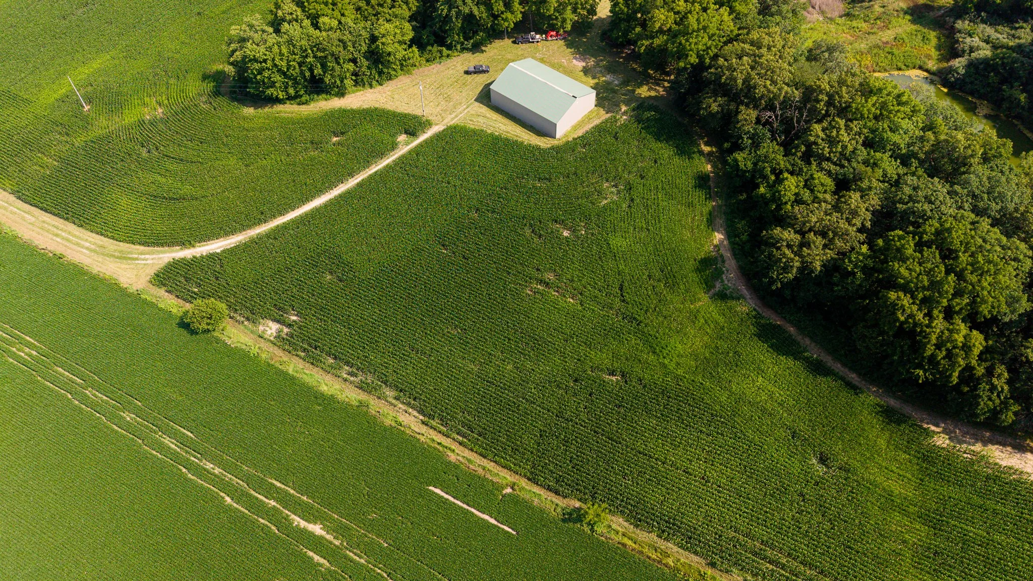 DJI_20260715051759_0064_D.jpg