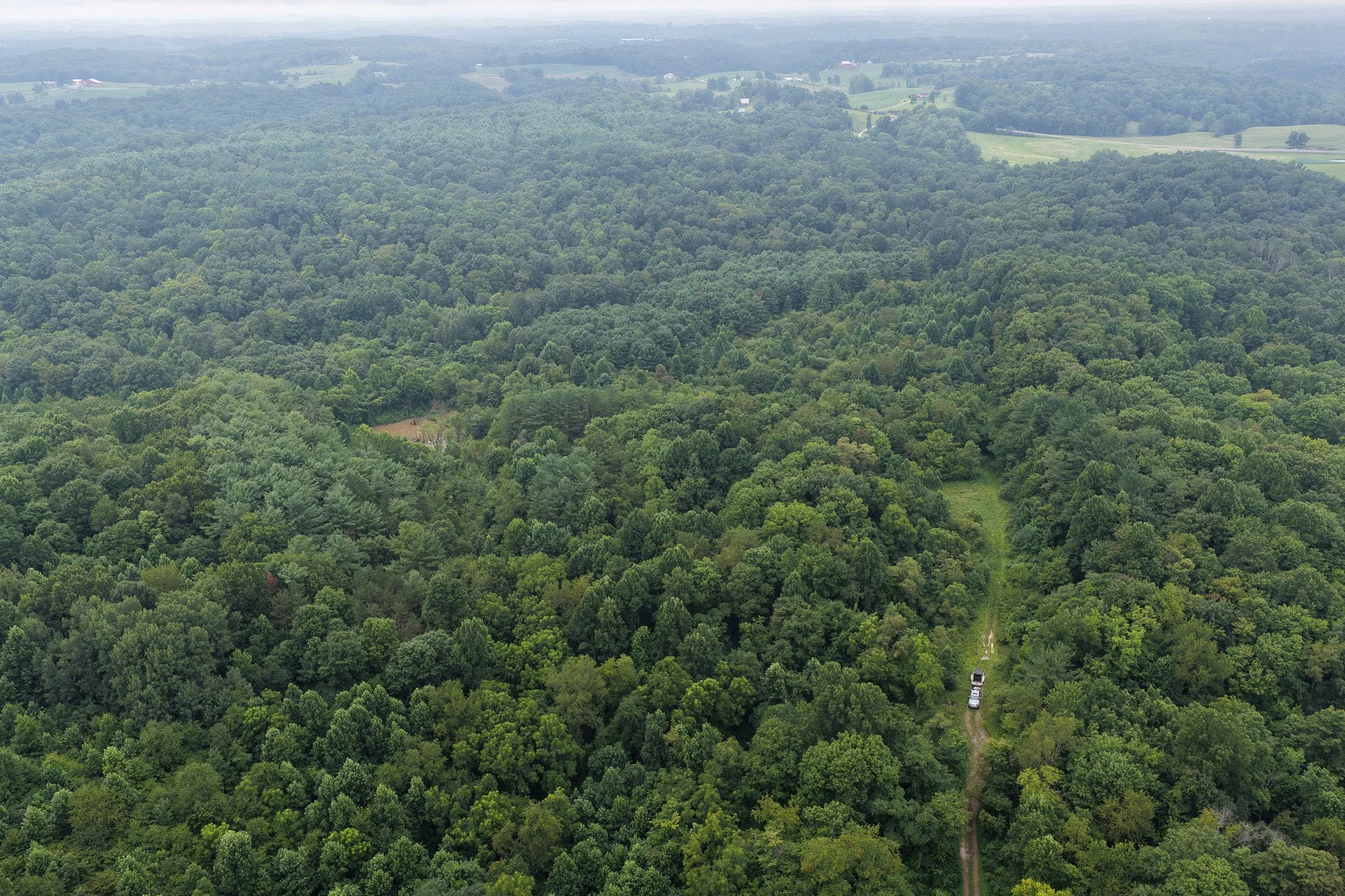 DJI_20260806103610_0022_D.jpg