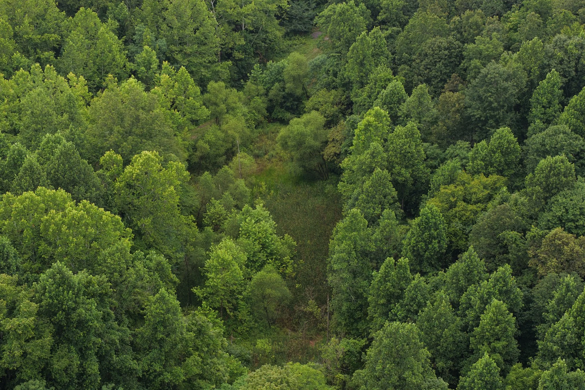 DJI_20260728124018_0042_D.jpg